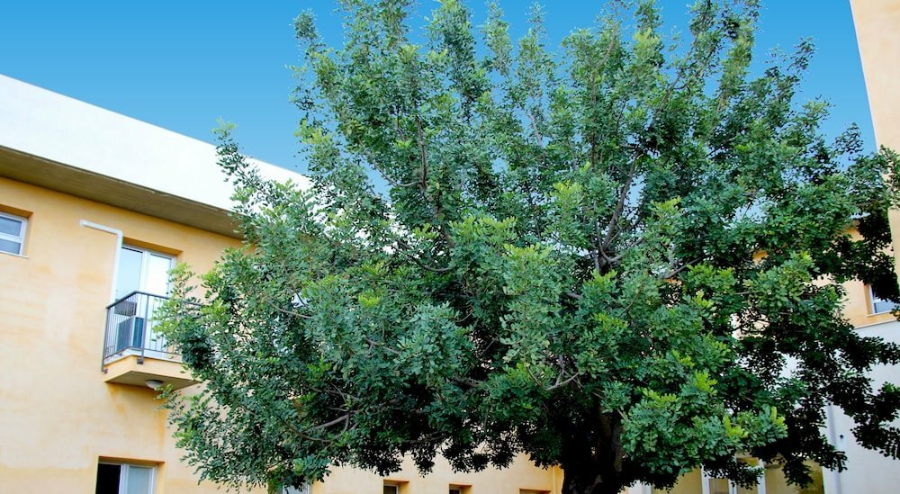 Фото Zaiera Resort Club