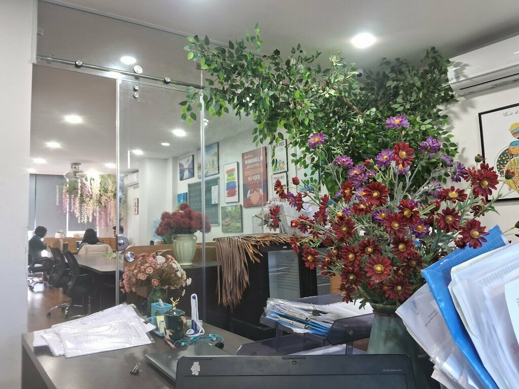 Visa support Phú Quốc Xanh, Ho Chi Minh, photo