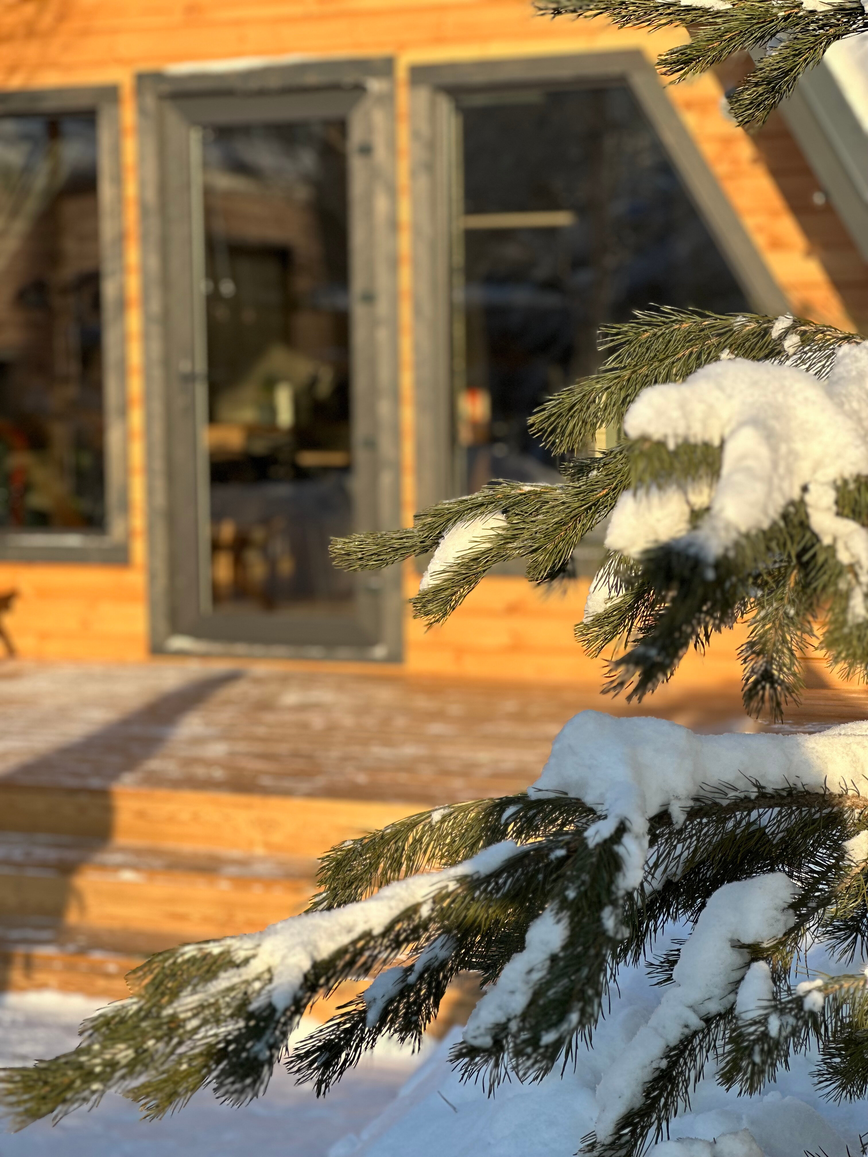 Фото ZastavaVillage