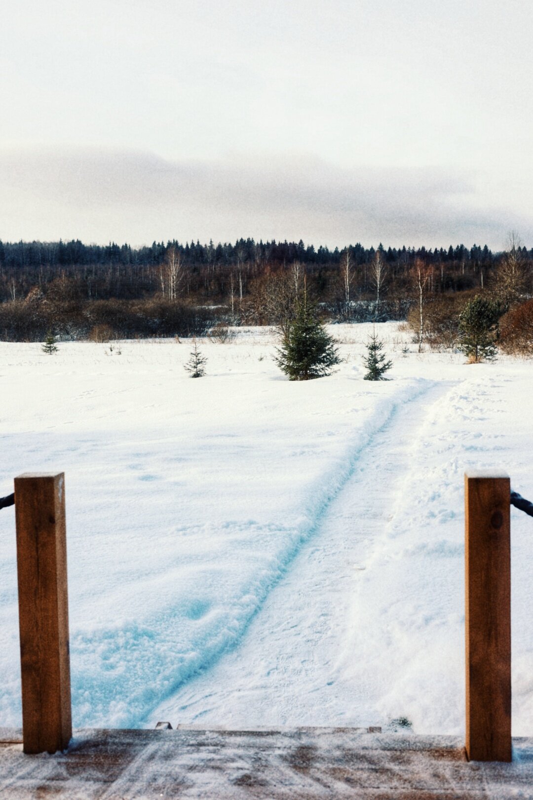 Фото Zefirka camp