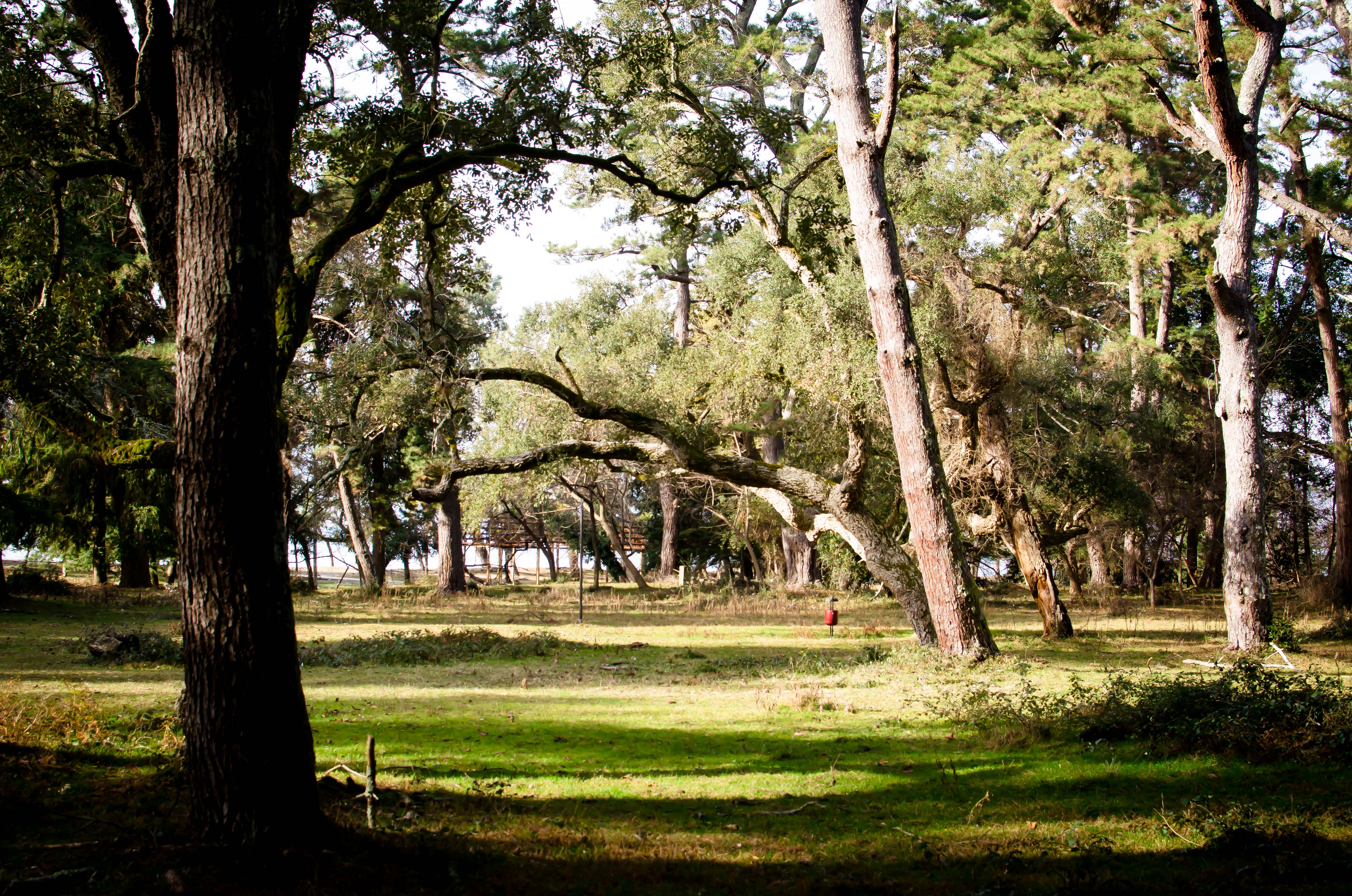 Фото Апартаменты Семейные в Агудзере