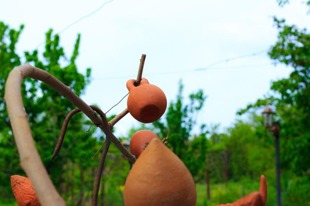 Фото Amiran's Lake