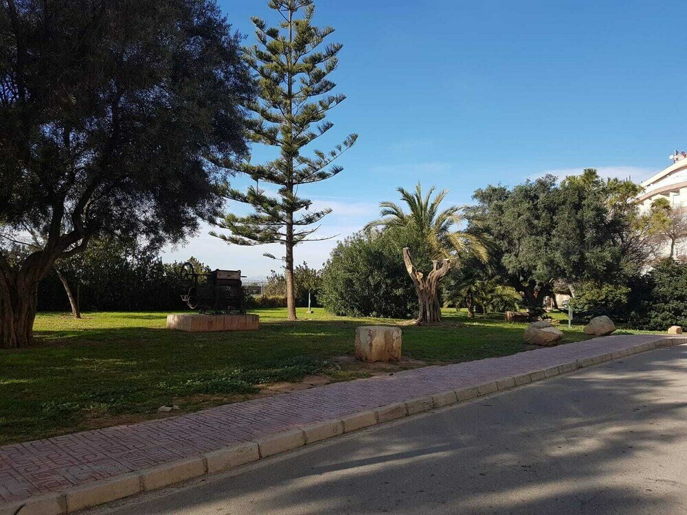 Фото Homely Apartments Viña Laguna