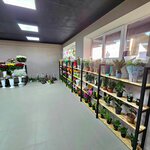 Дари Цветы (просп. М. Омарова, 20), магазин цветов в Каспийске
