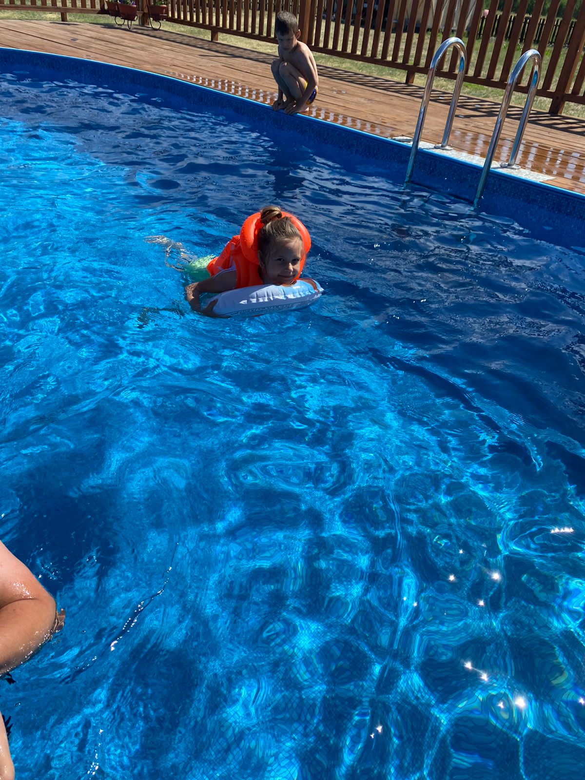 Фото Фламинго