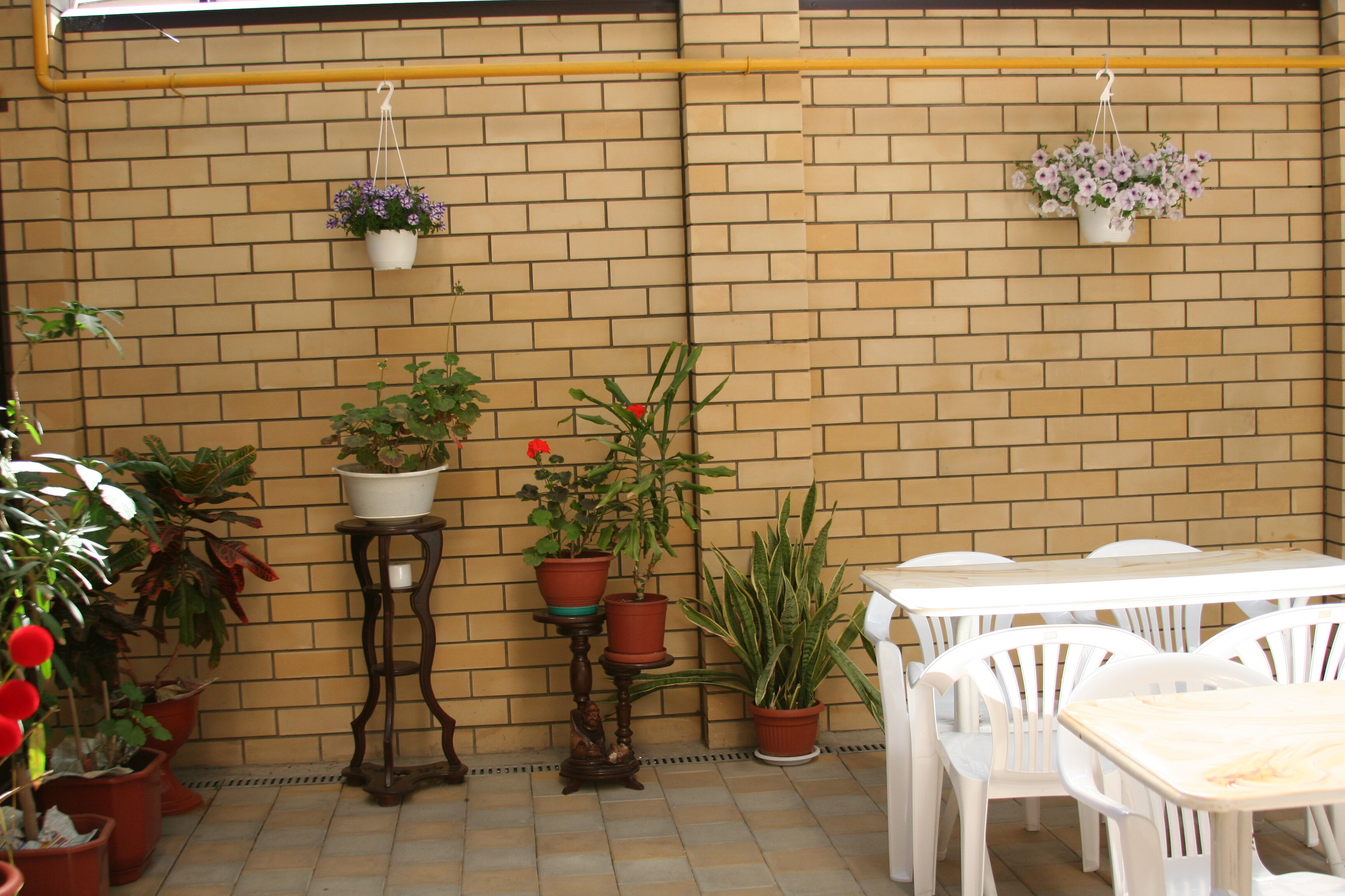 Фото Кипарис