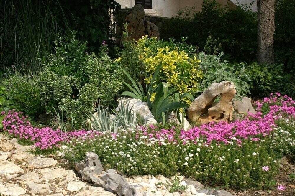 Фото Ante - Comfortable & Free Parking - A5