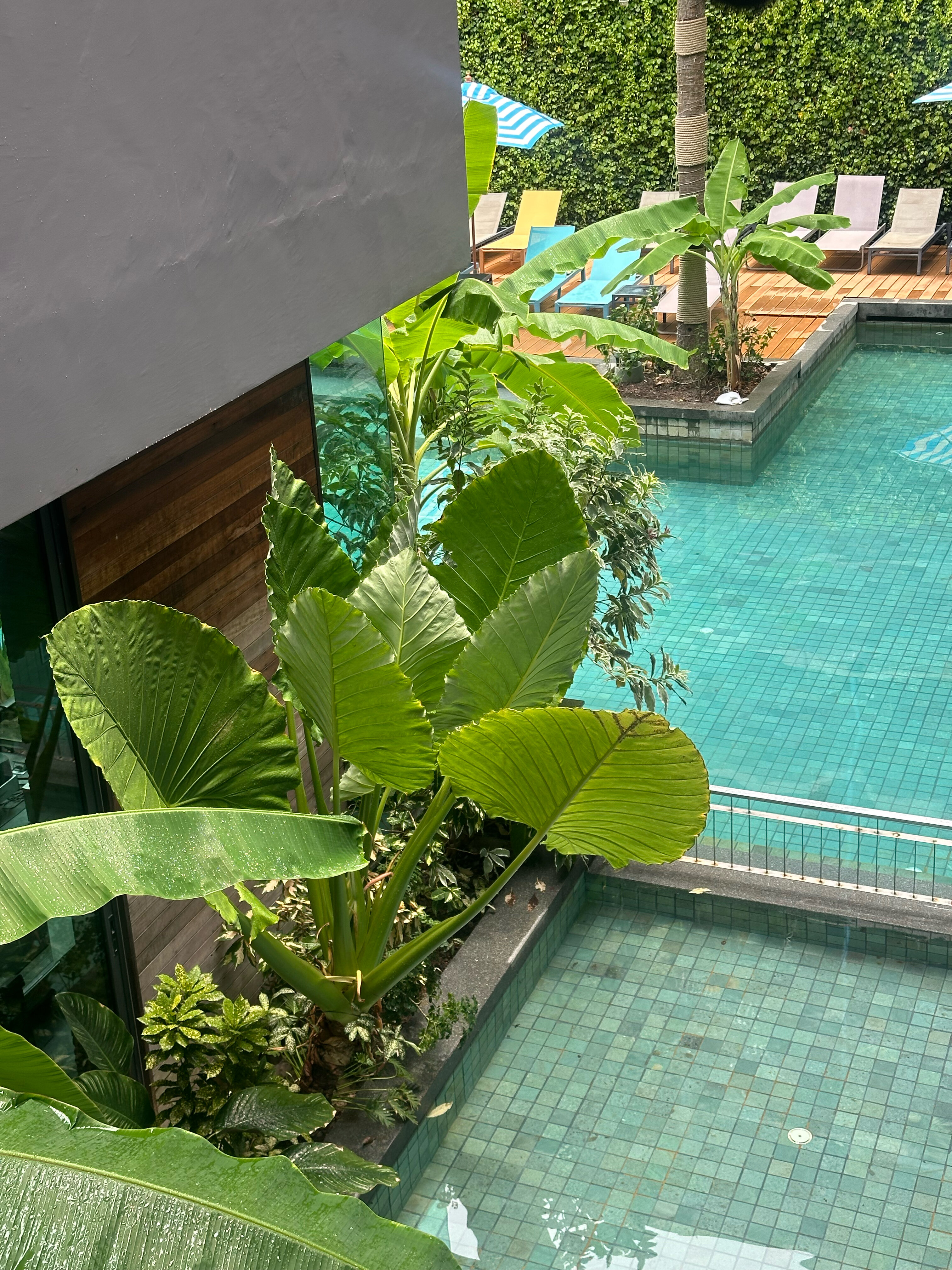 Фото Sugar Marina Surf, Kata Beach