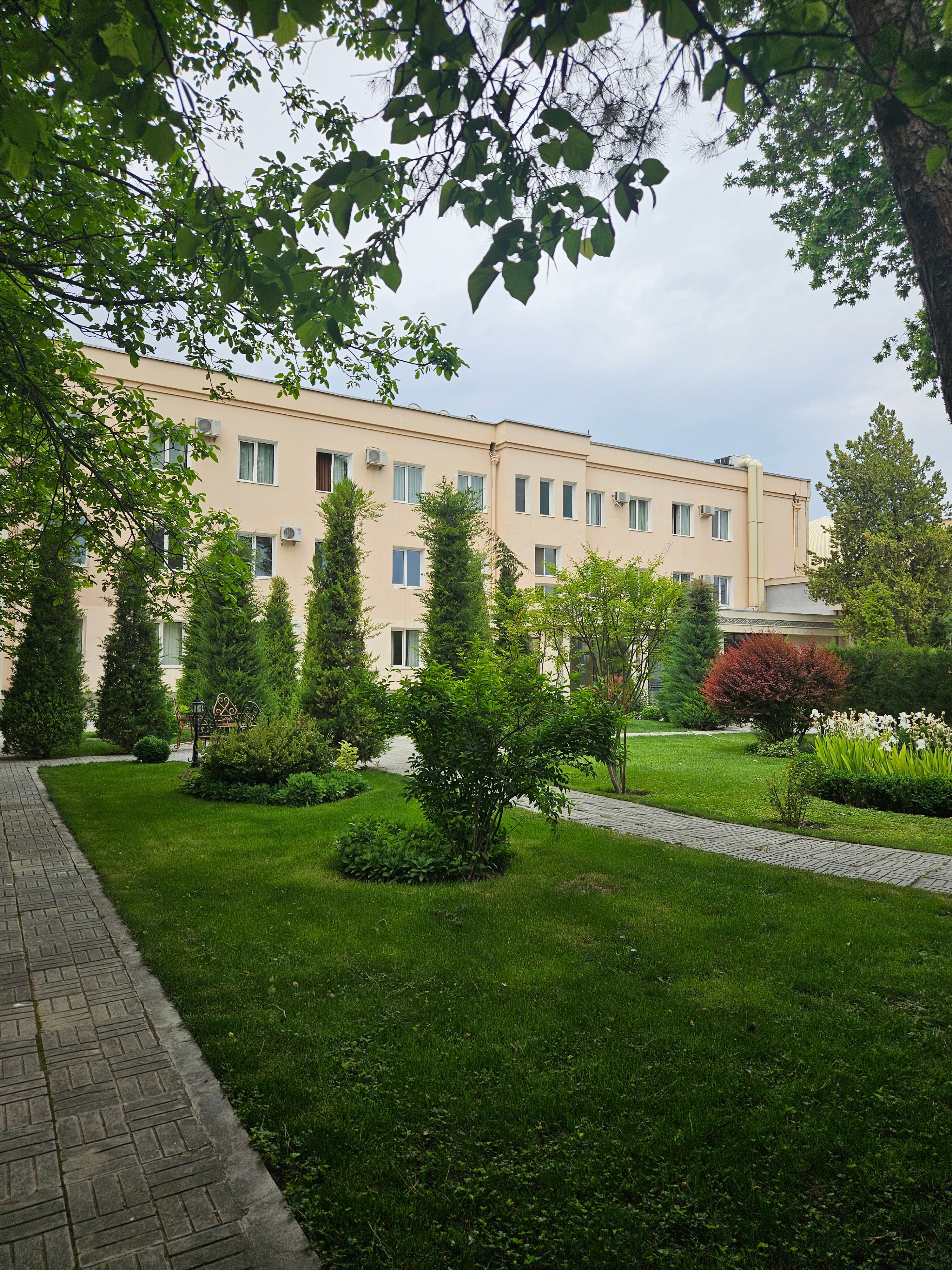 Фото Orient Star