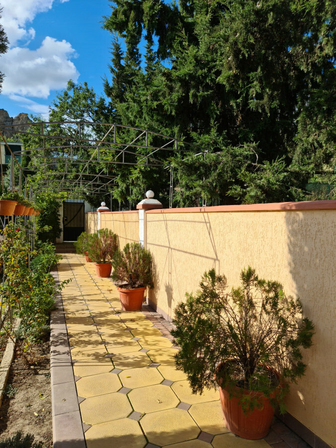 Фото Валента