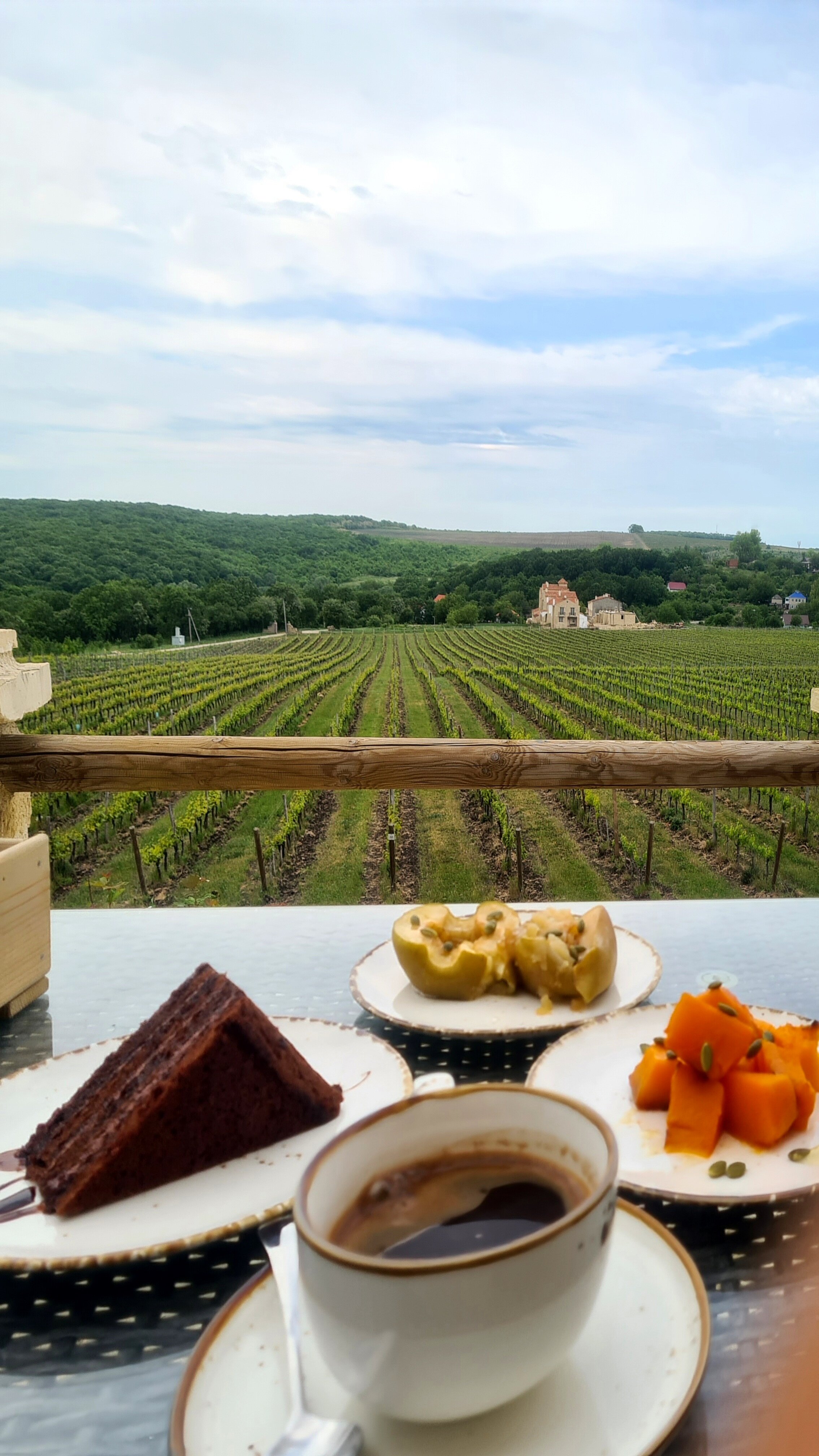 Фото Шато Андре