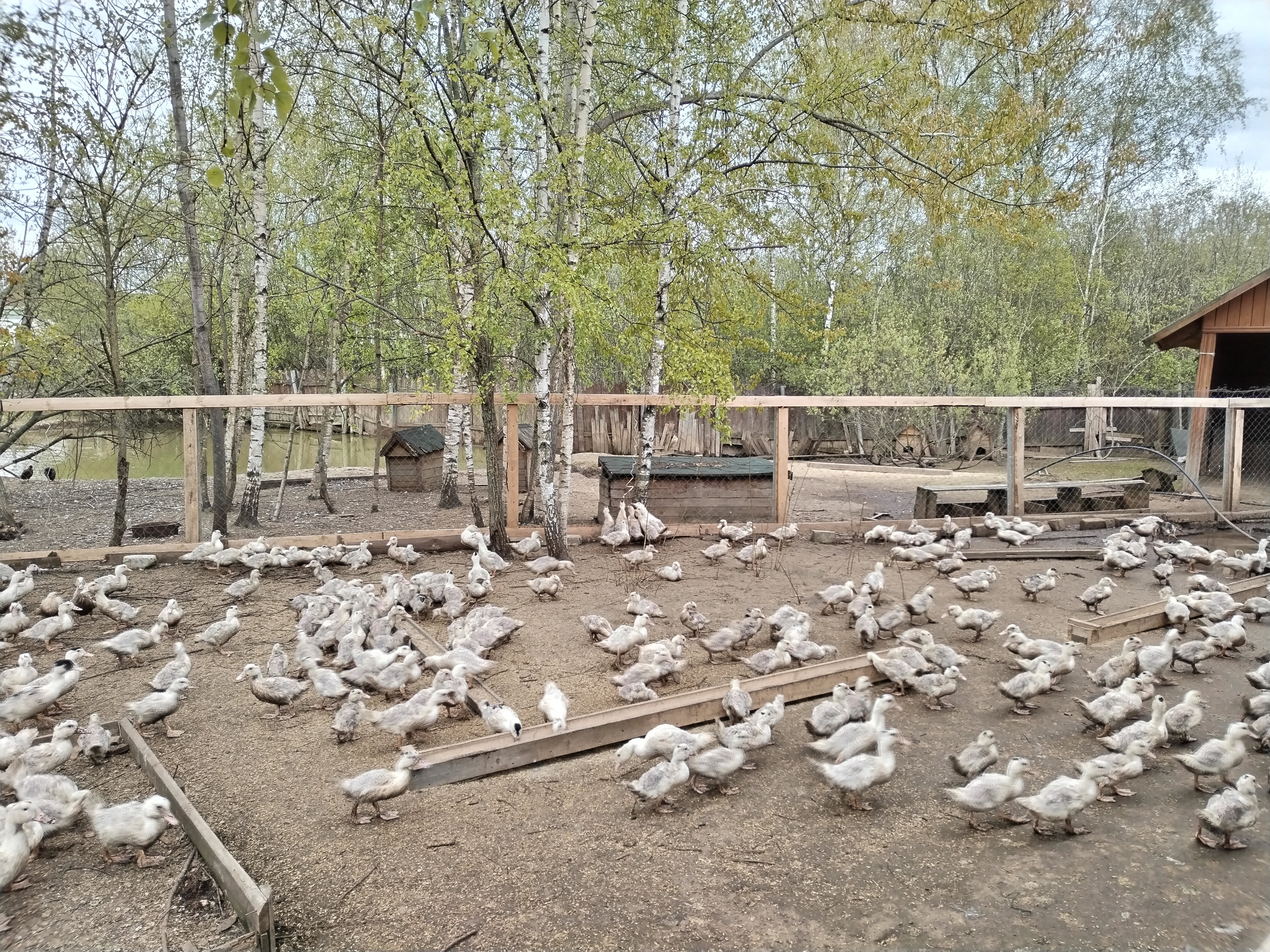 Фото Волжский фермер