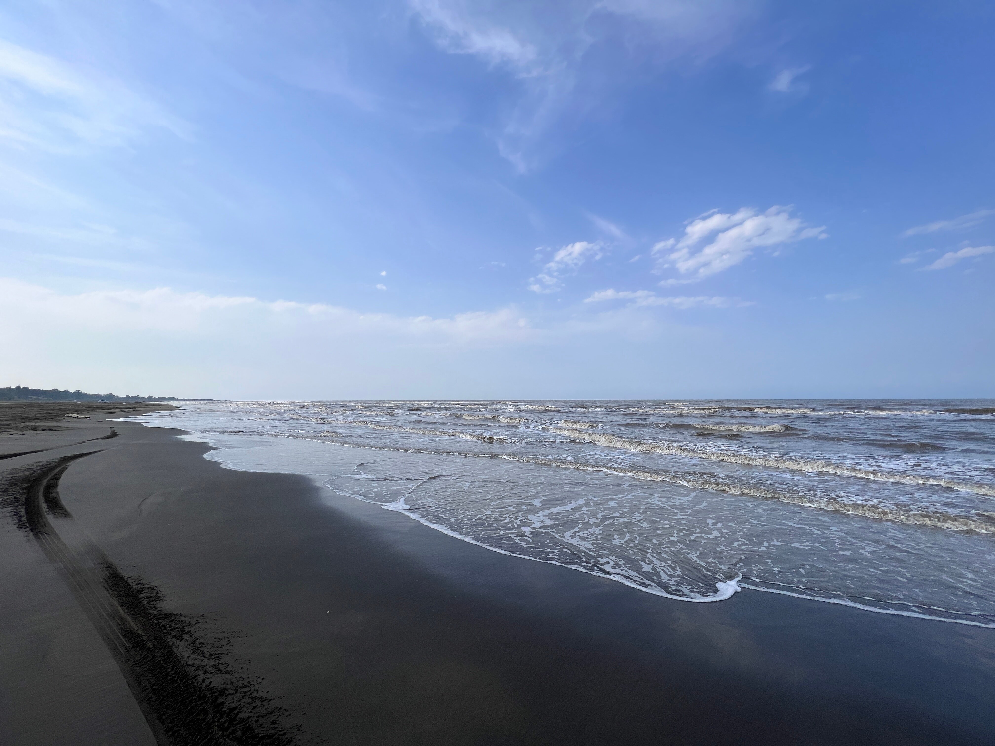 Фото Самурская Жемчужина