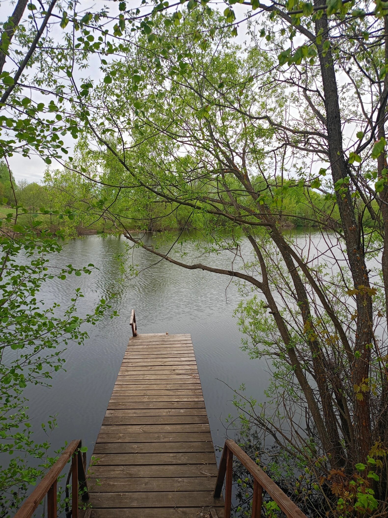 Фото Стрела