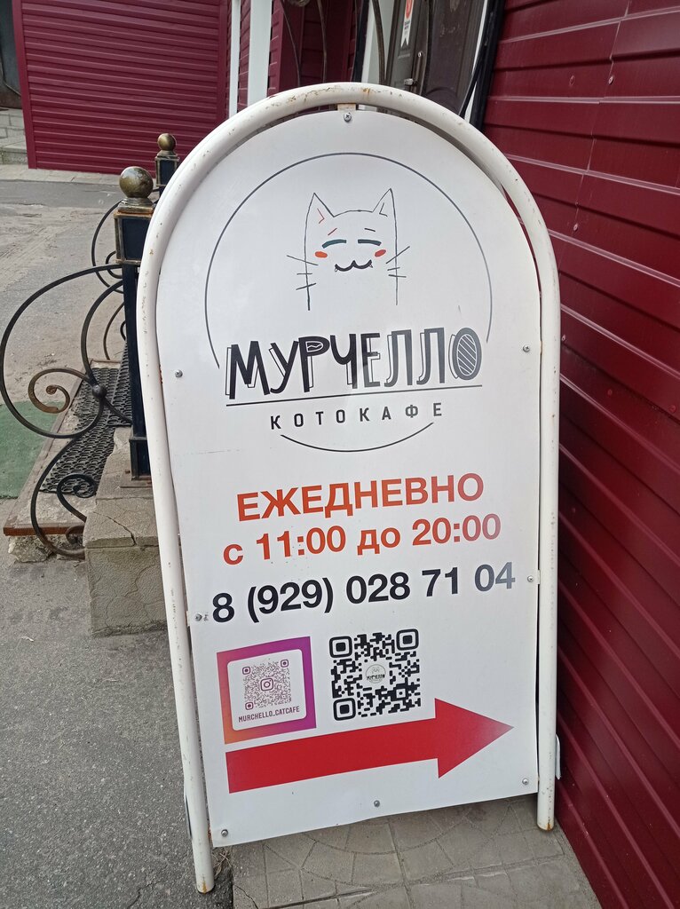 В гости к котикам