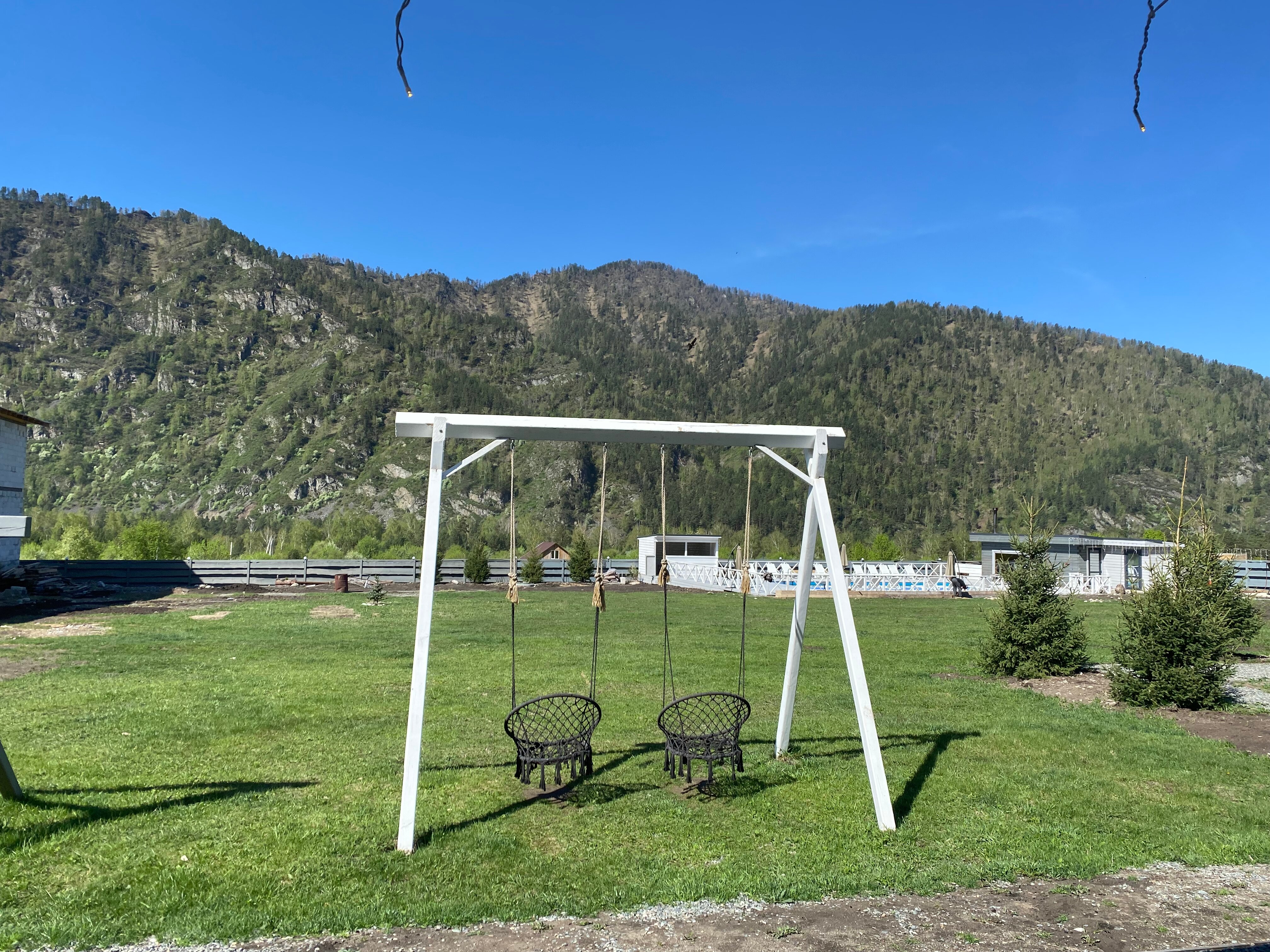 Фото Алтай Лотос