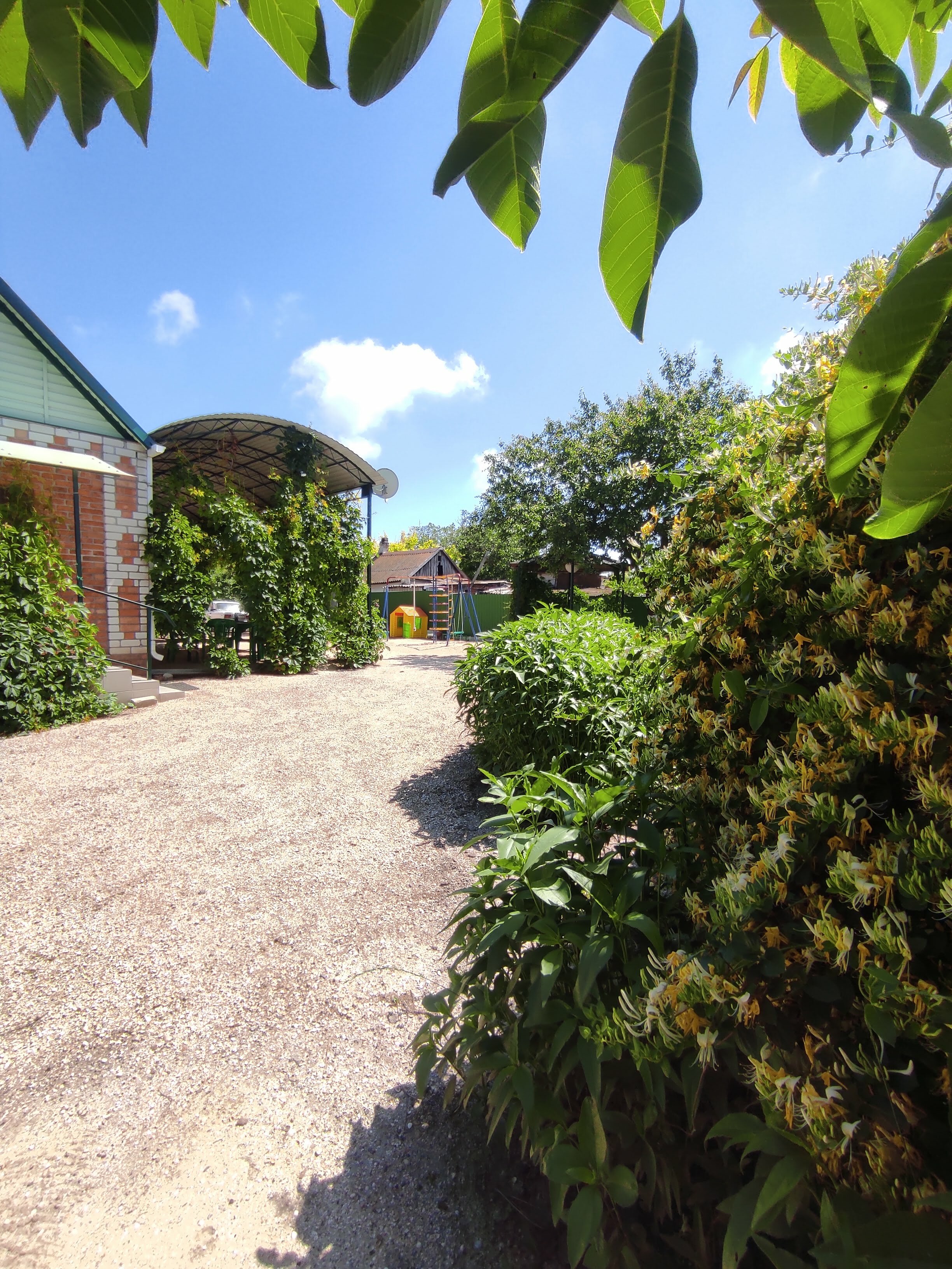 Фото Комнаты Коллективная 16а