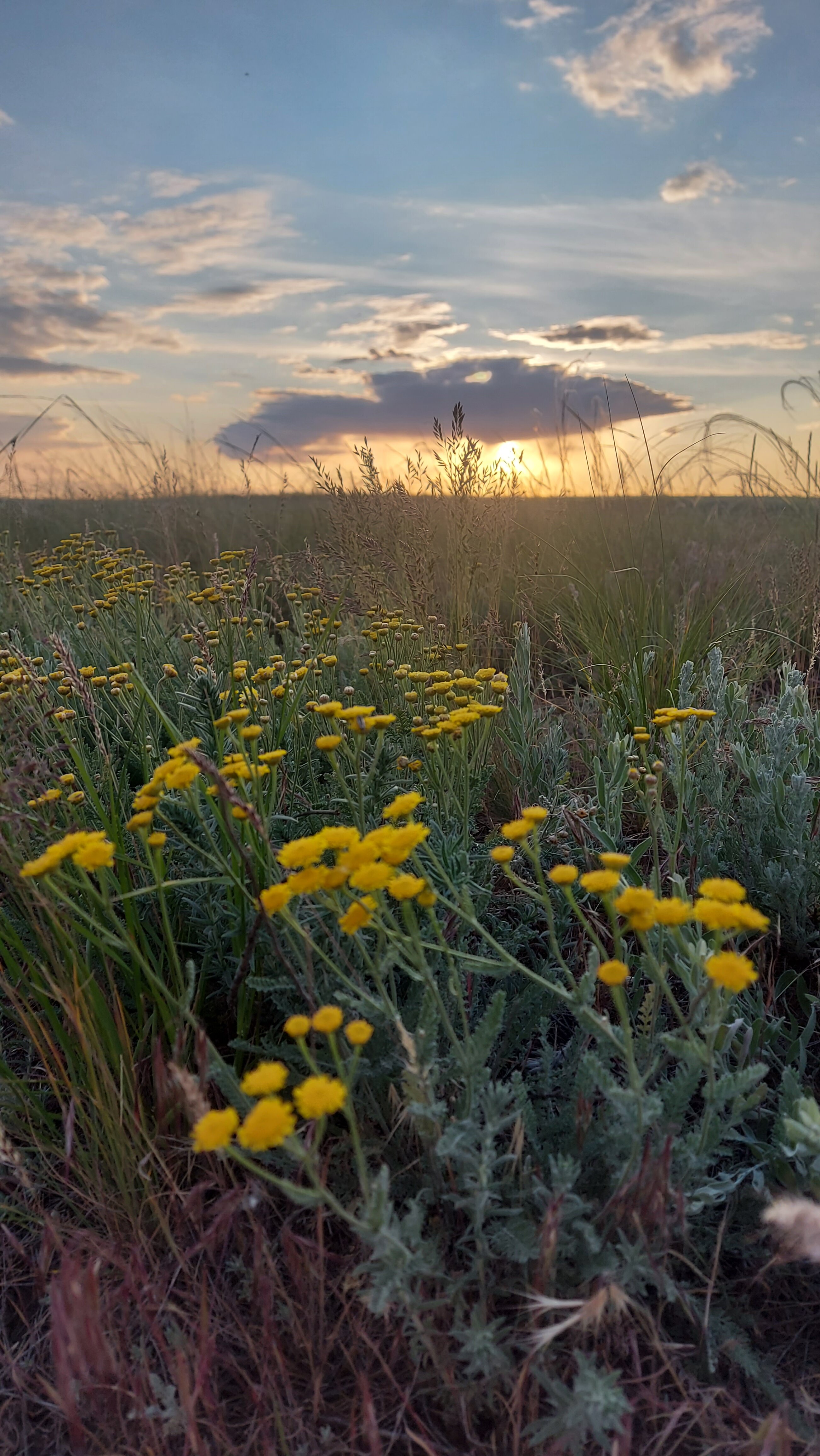 Фото Причалъ