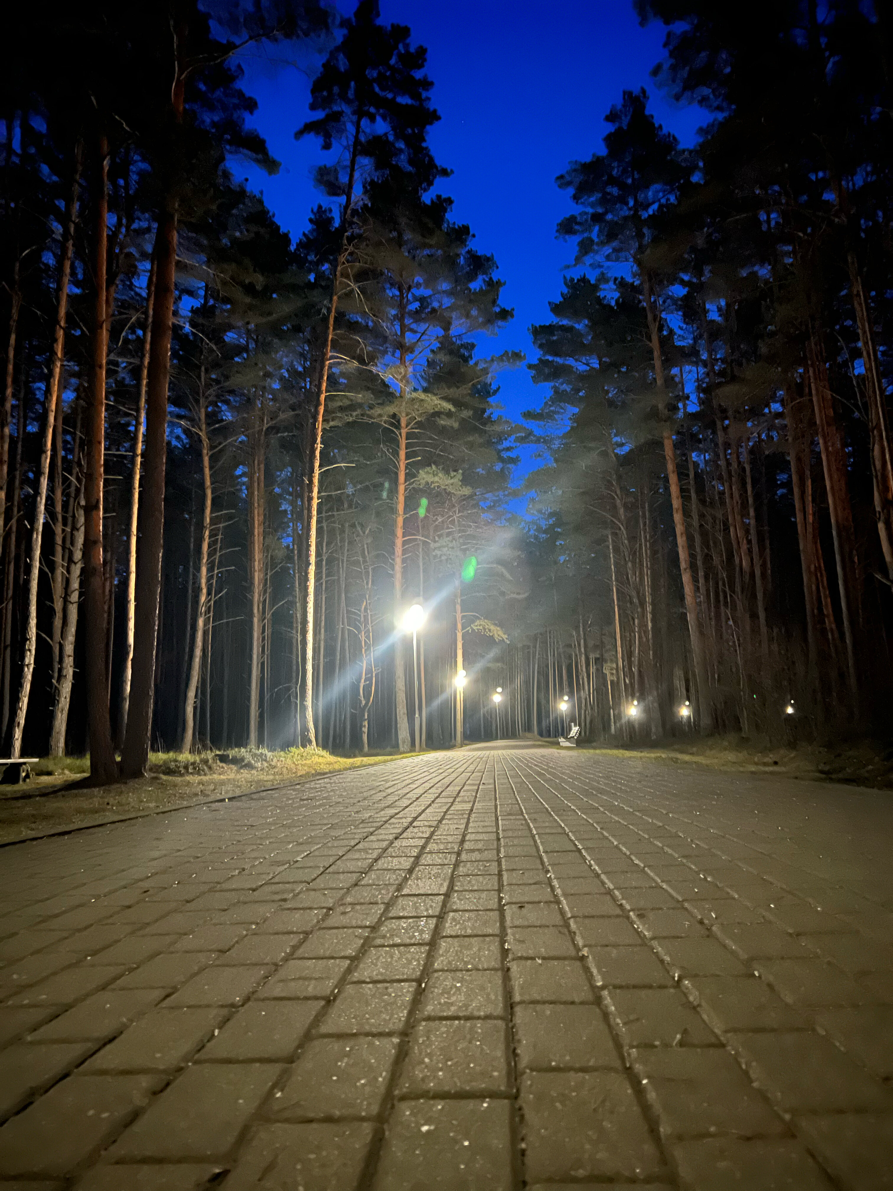 Фото Журавушка