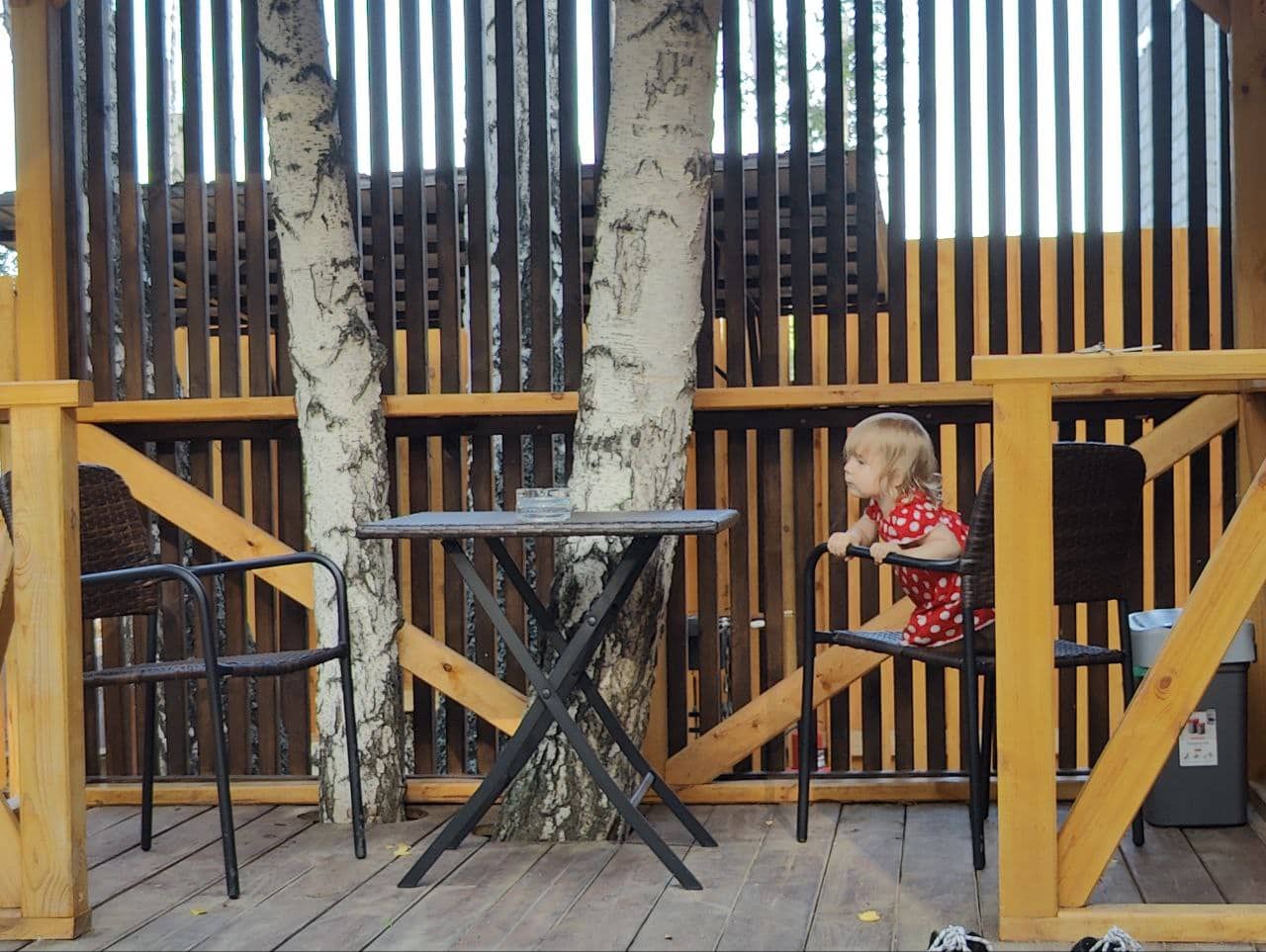 Фото Лесовик