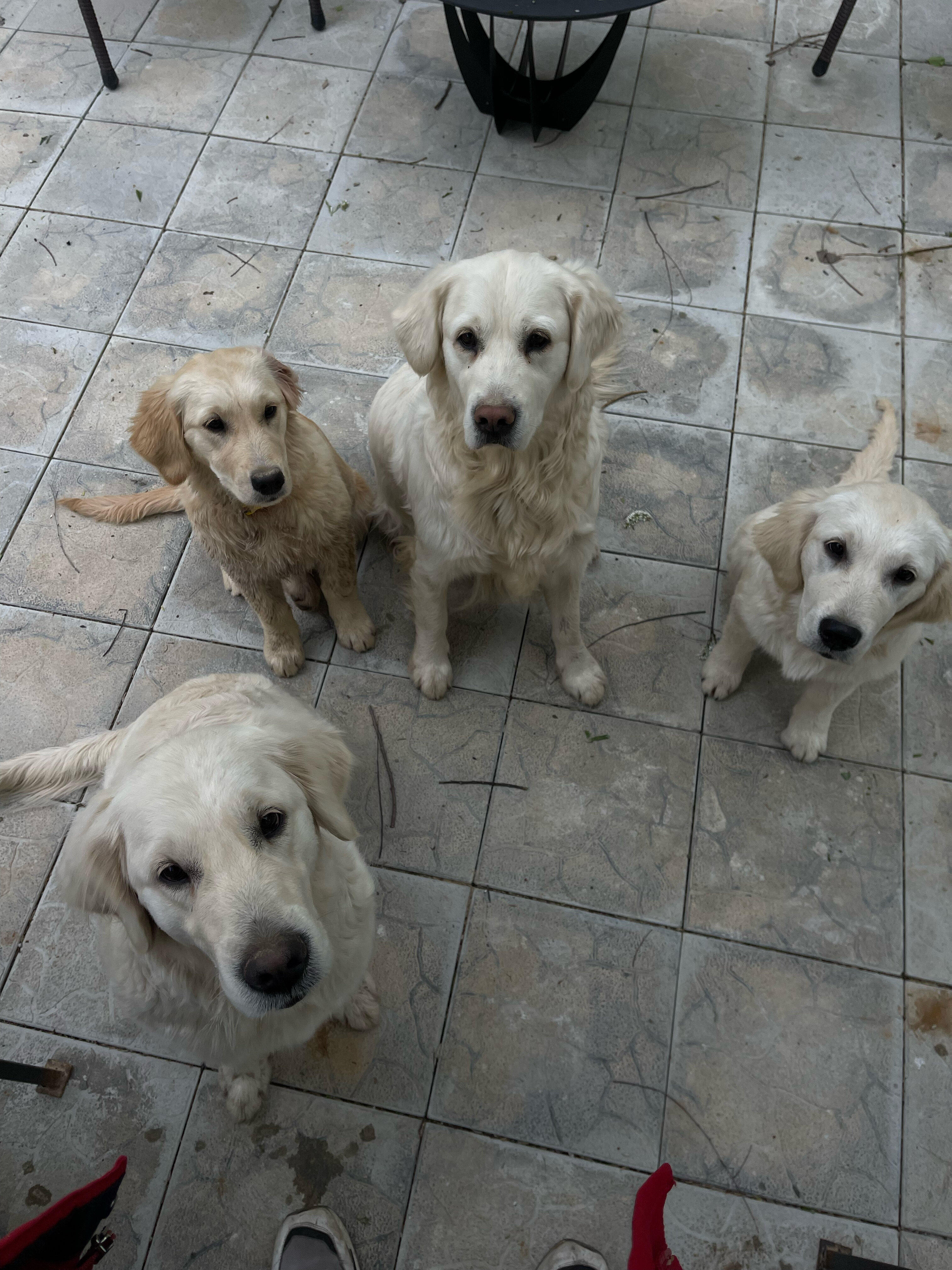 Фото Парк Север