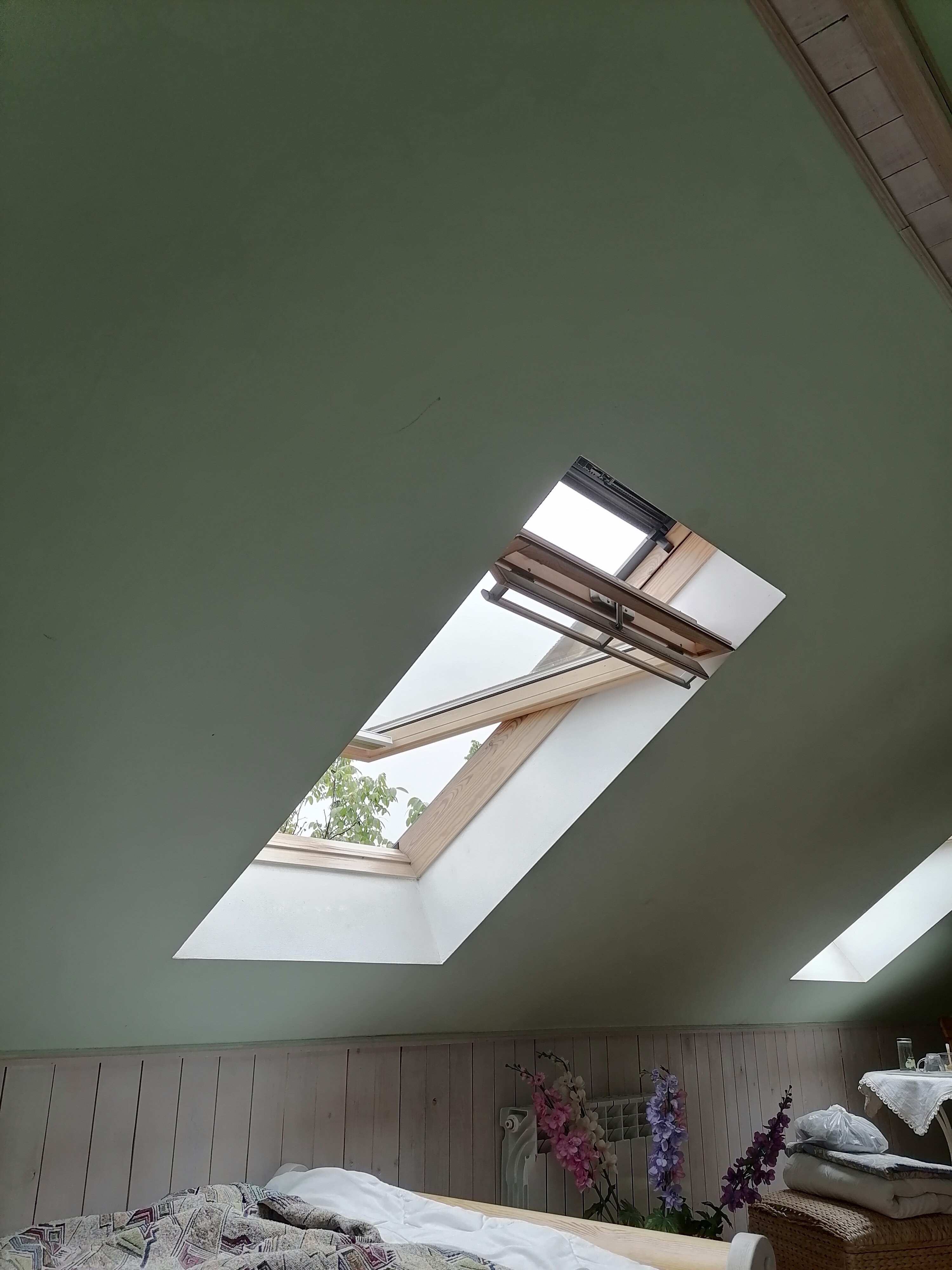 Фото Золотой Гусь