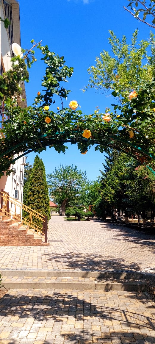 Фото Пять прудов