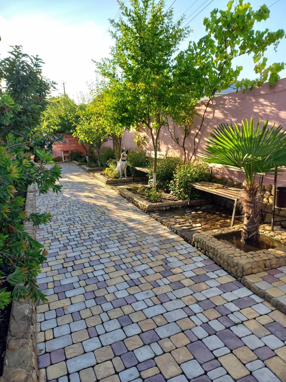 Фото Гостевой дом Мечта