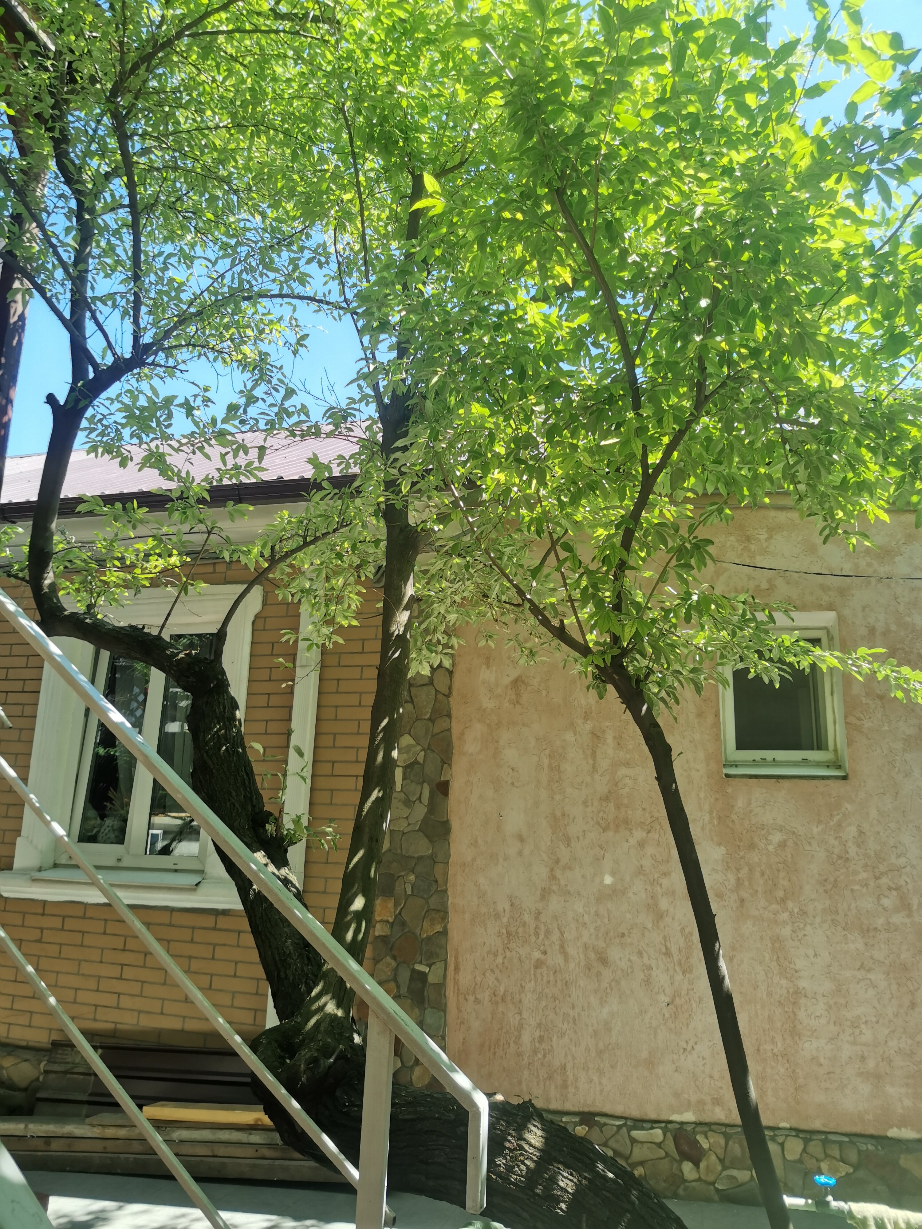 Фото Елисеевский