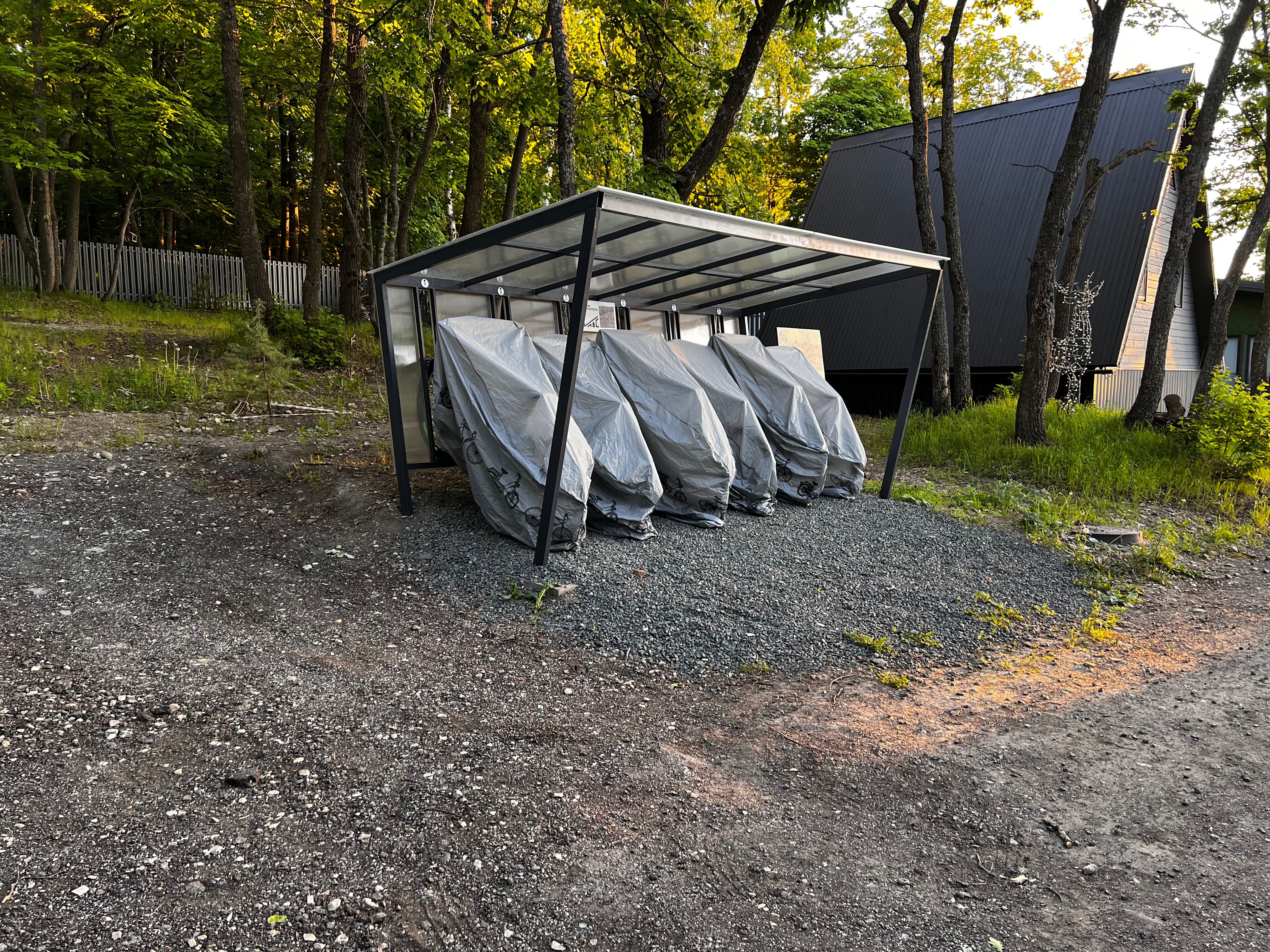 Фото В Лес Афрейм