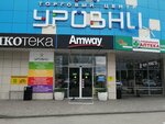 Rostic's (Stasova Street, 186), fast food