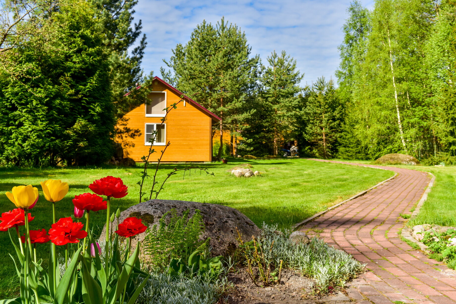 Фото Домик Коиви