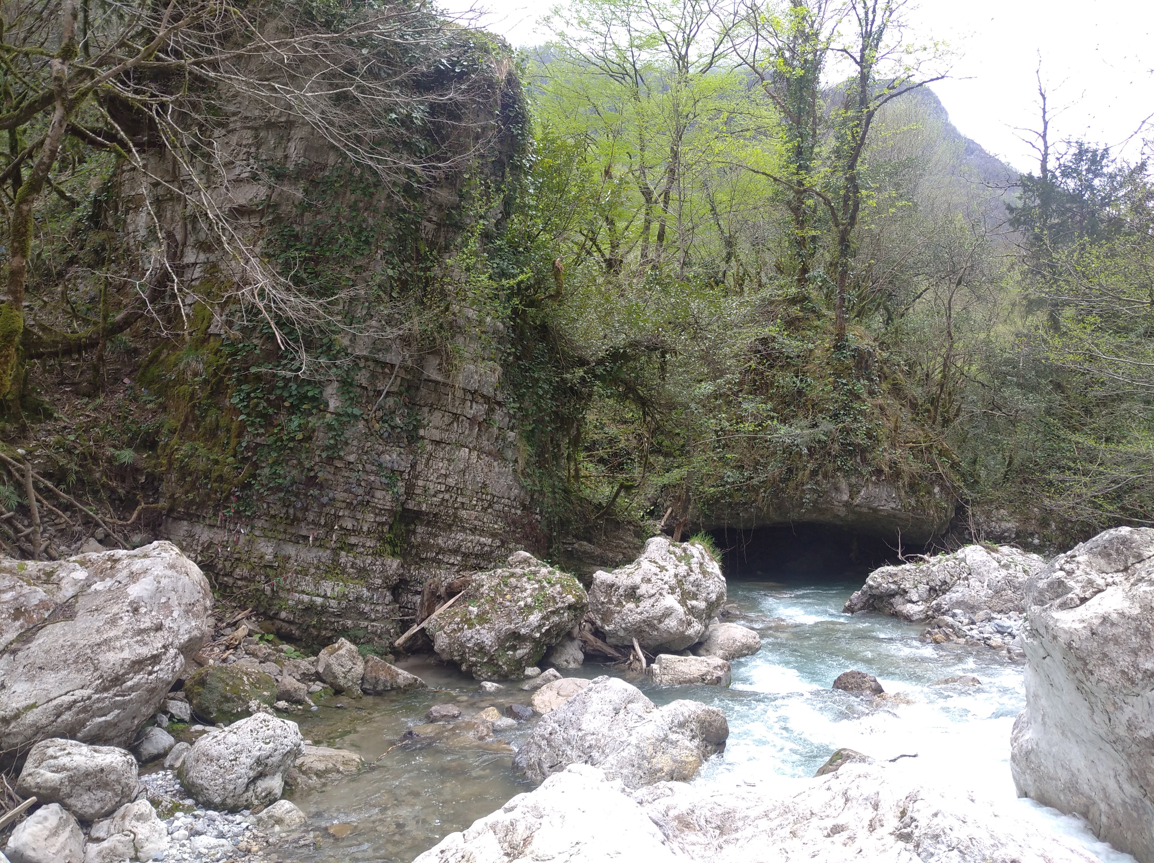 Фото Жоэквара