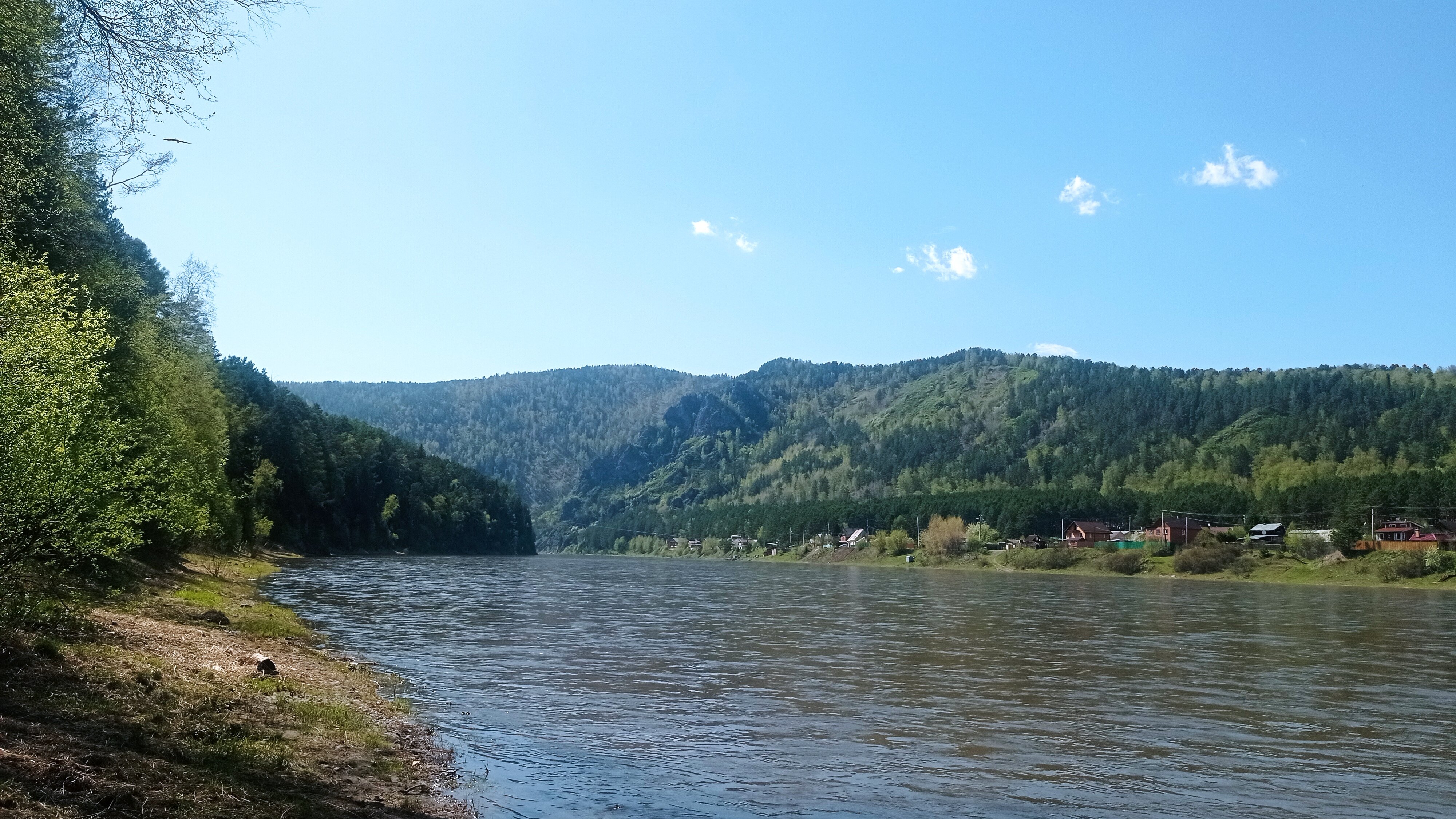 Фото Брусника