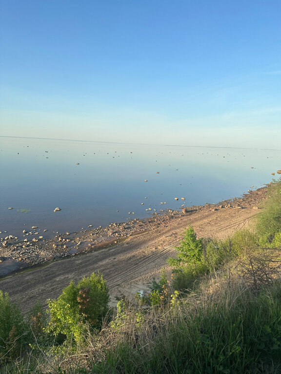 Фото Ёlki Лебяжье