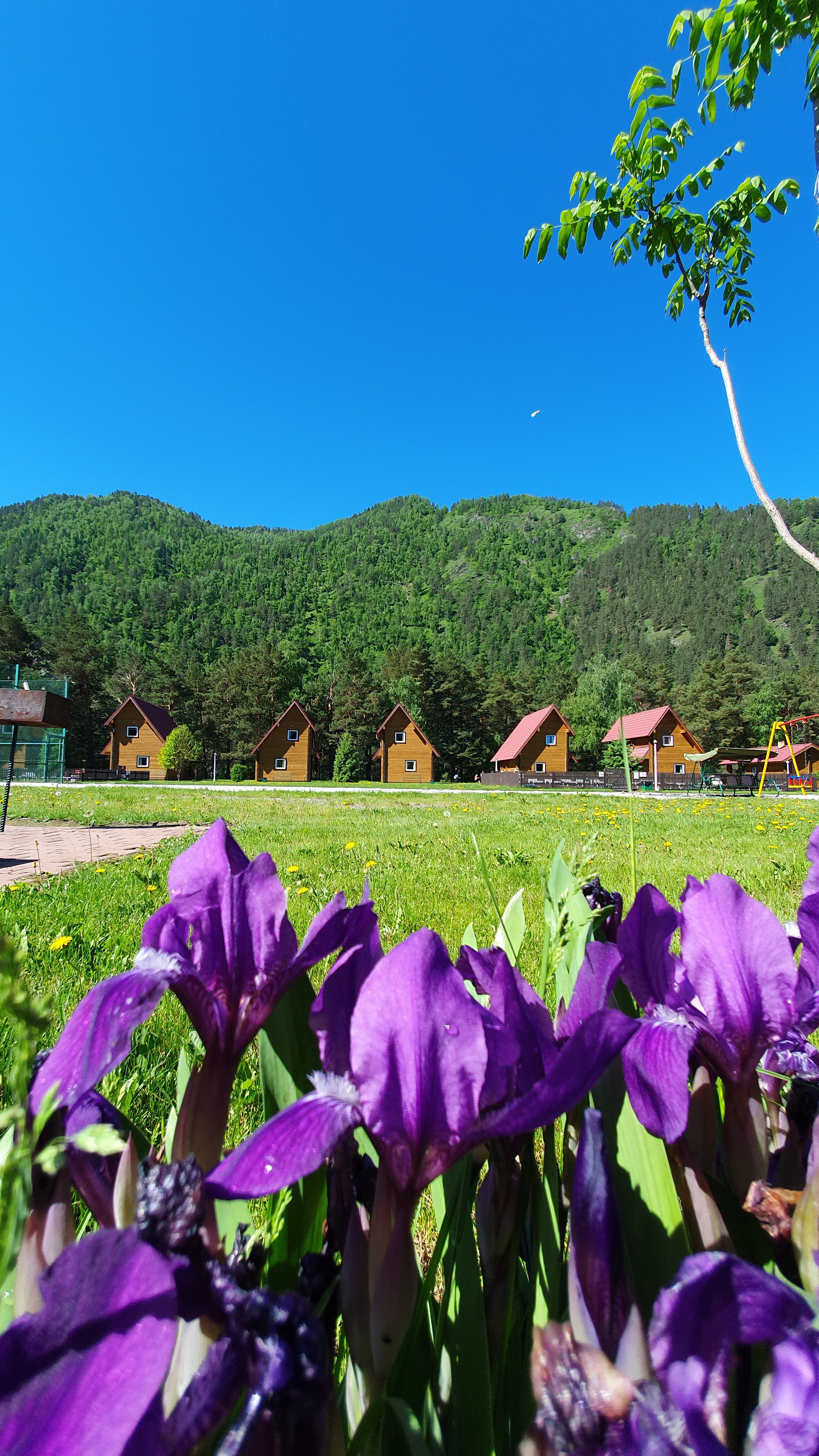 Фото Усадьба Славная