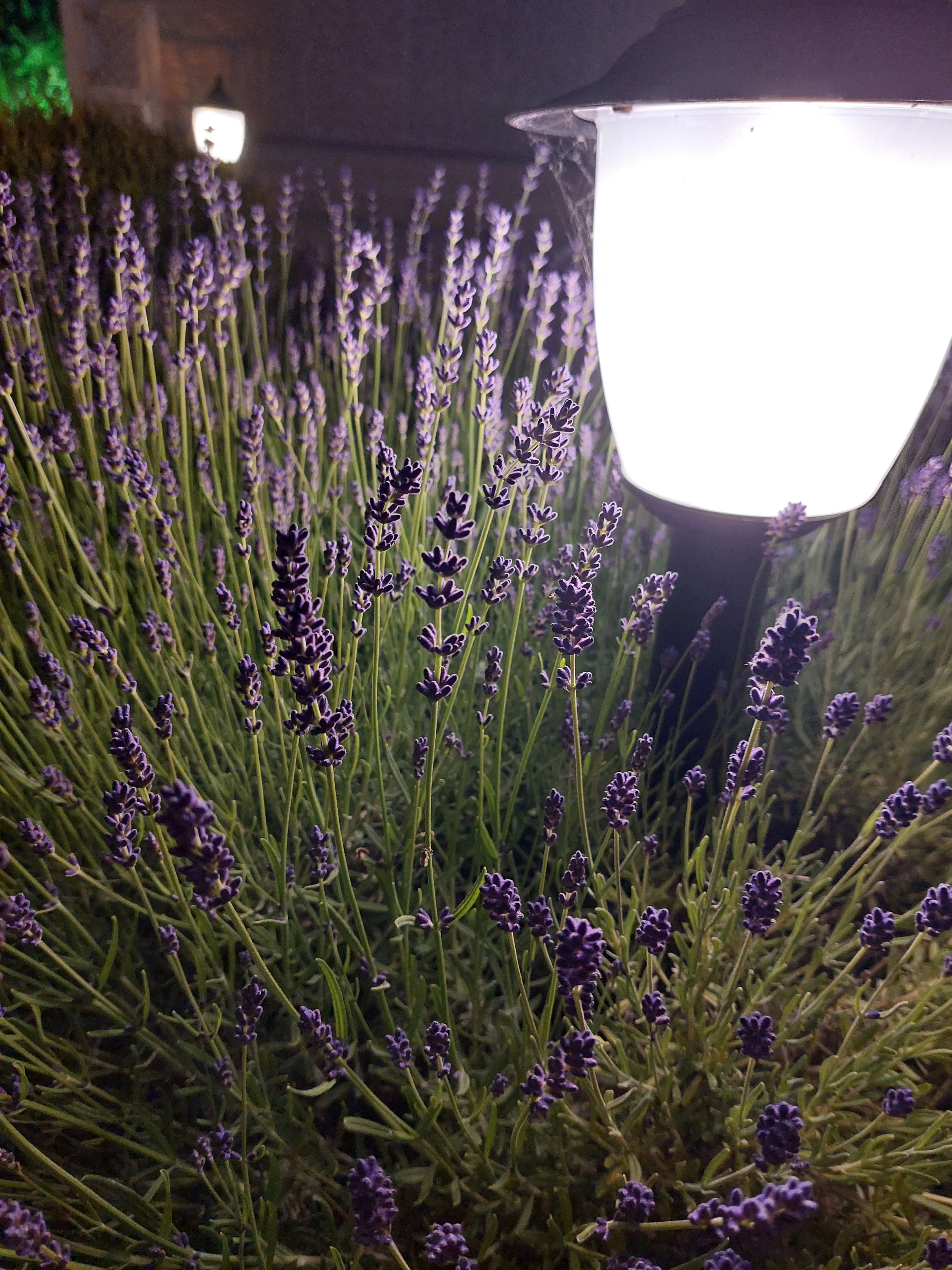 Фото Комфорт