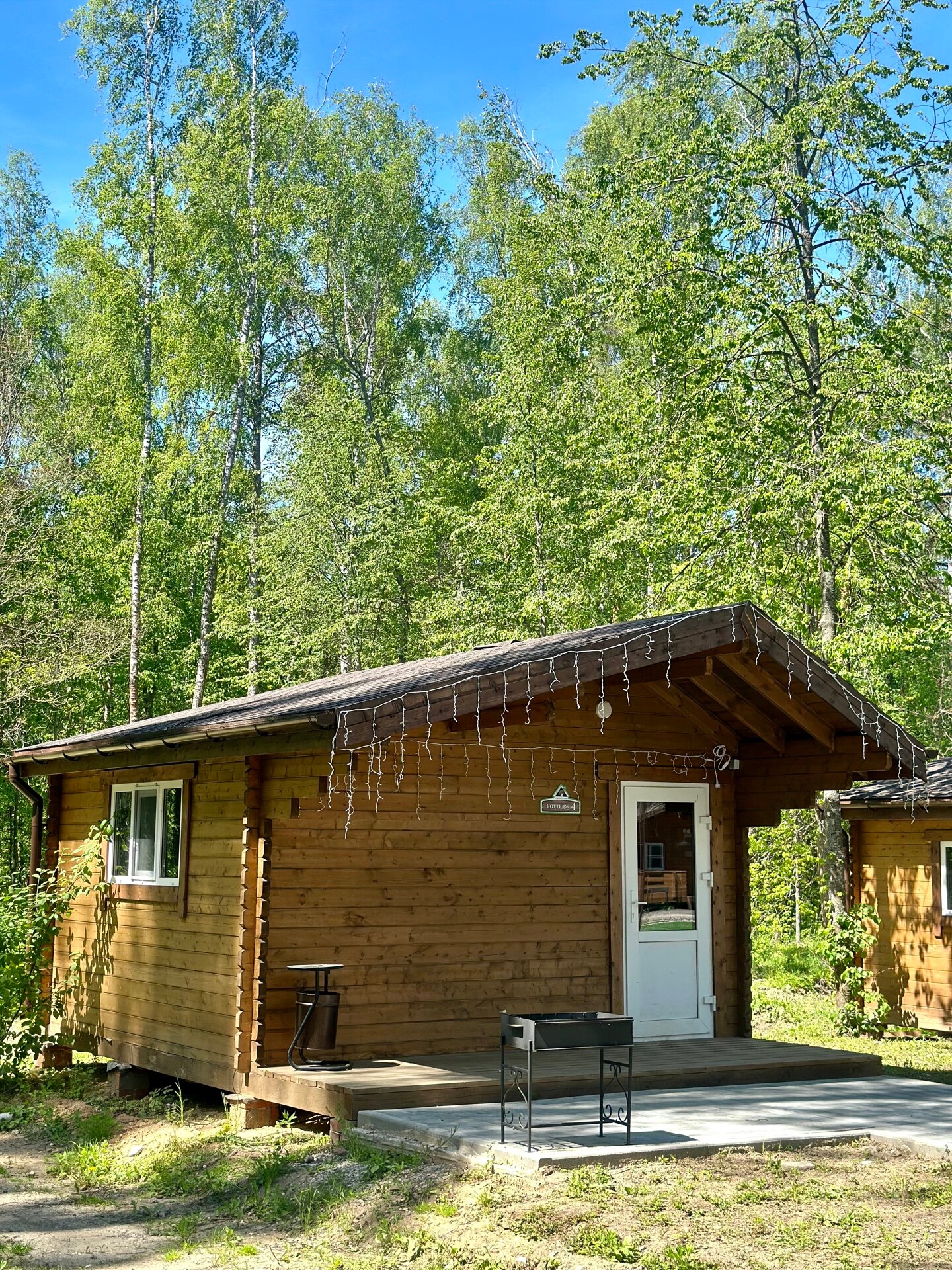 Фото Подберёзовик