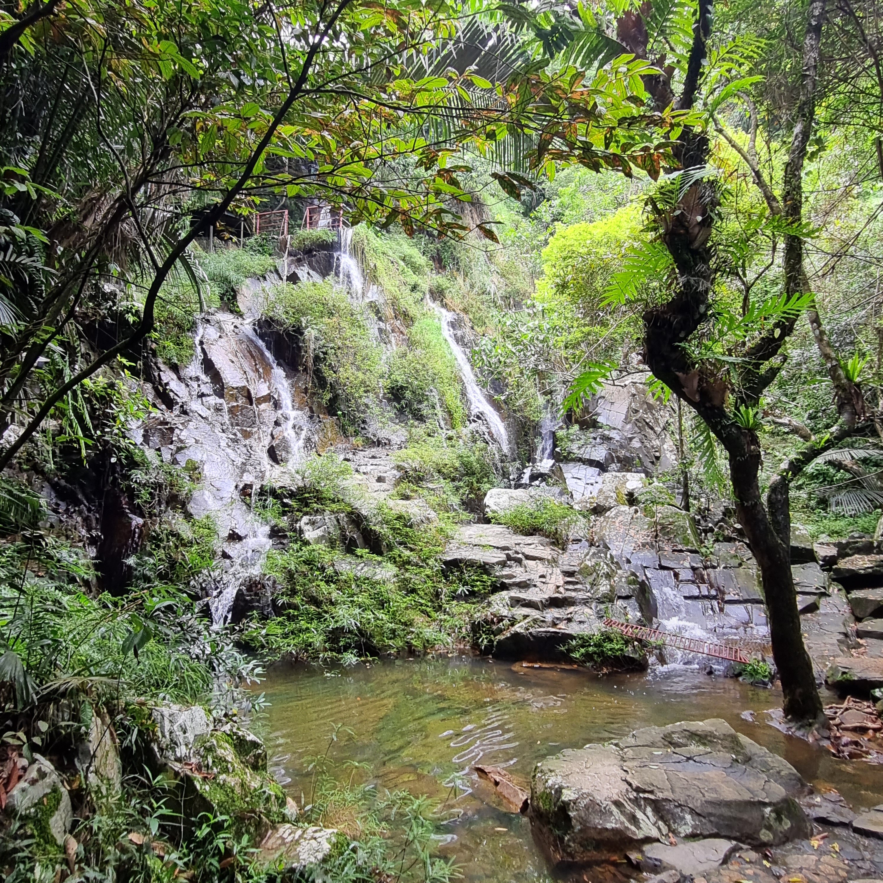 Фото Yalong Bay Villas and SPA