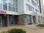 Ice studio (Kominternovskiy microdistrict, Torfyanaya ulitsa, 13), beauty salon
