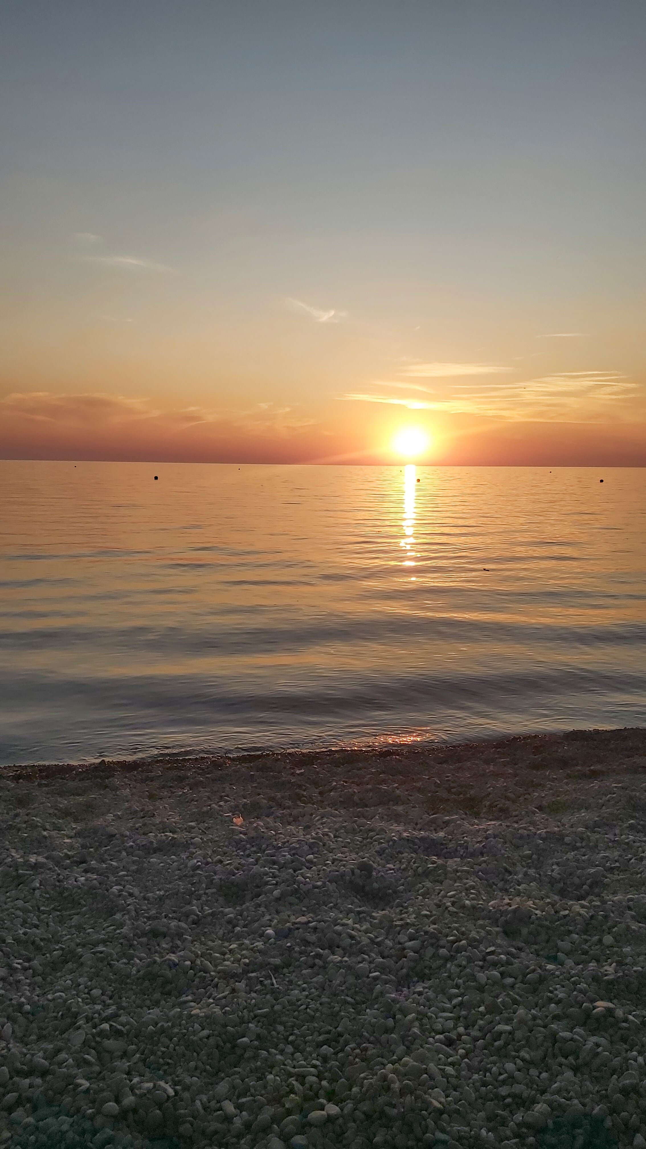 Фото Белый фрегат