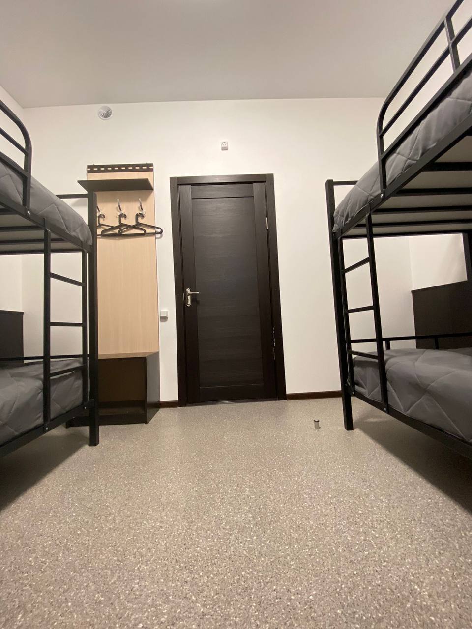 Фото Колибри