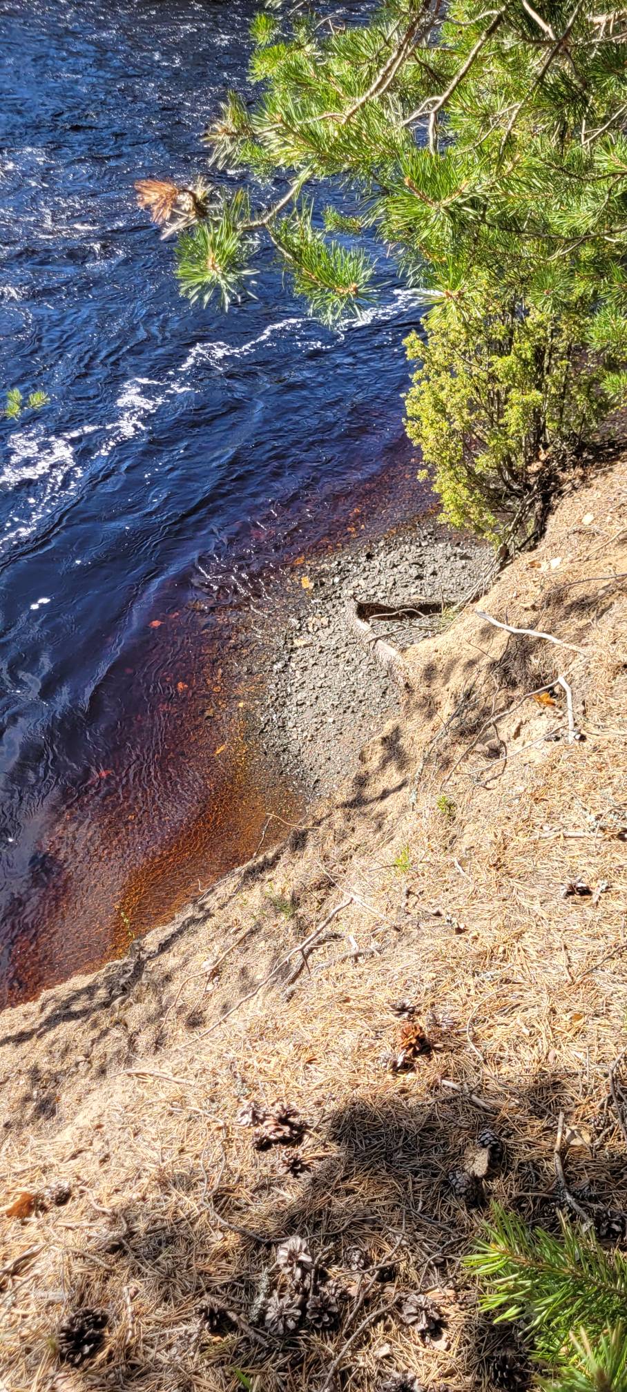 Фото Пяльма