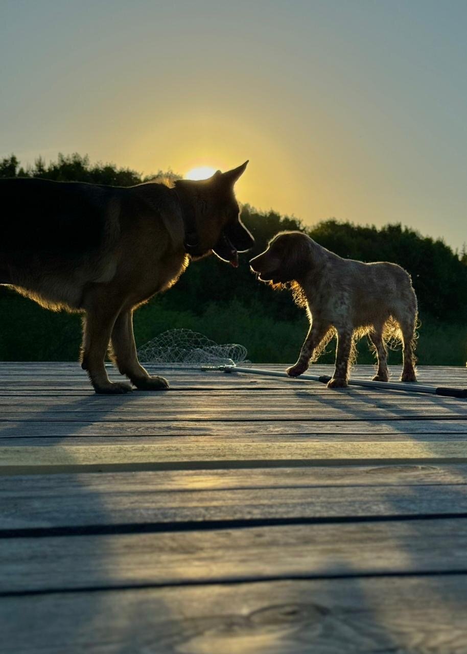 Фото Эль ранчо