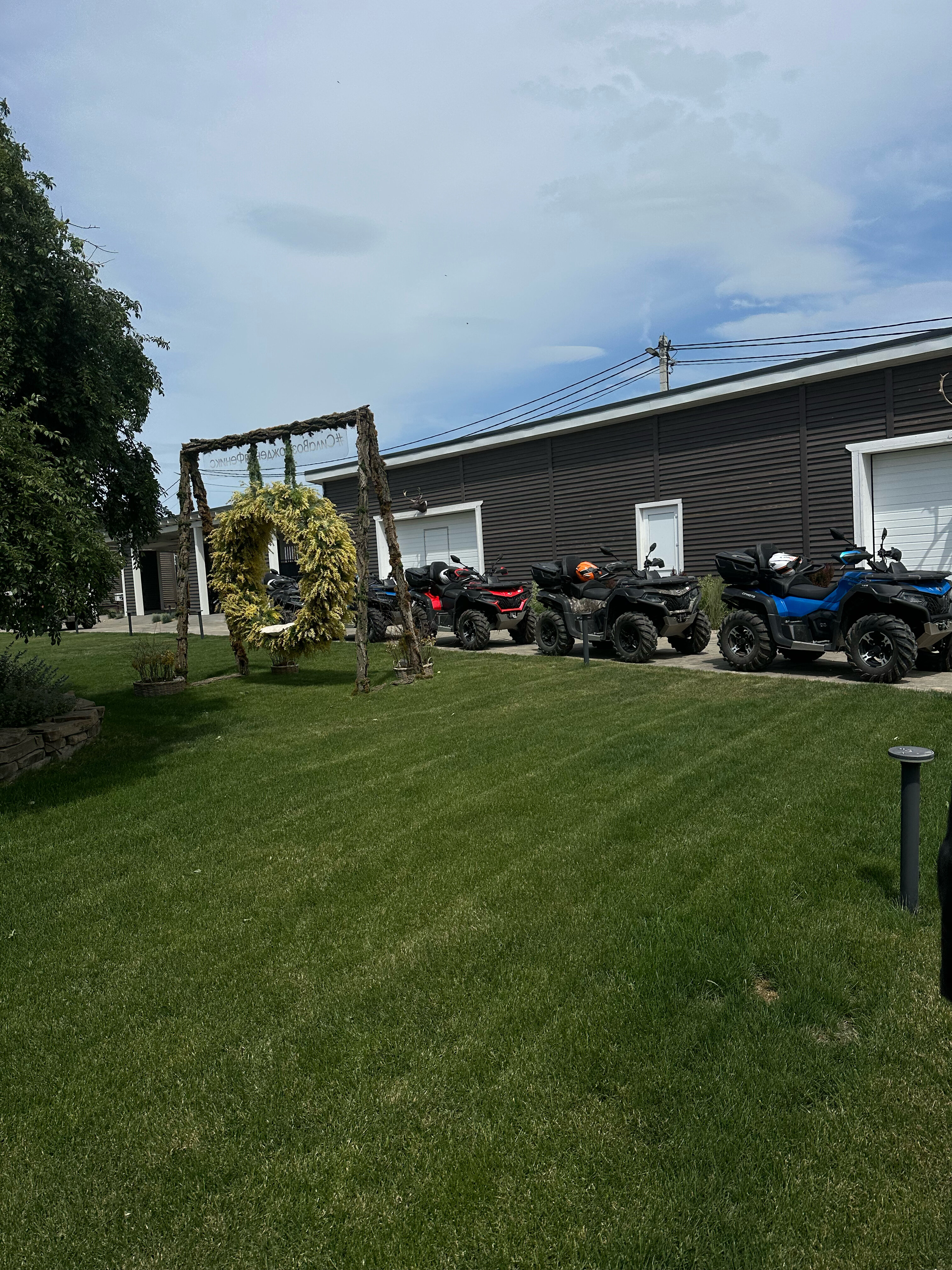 Фото Феникс