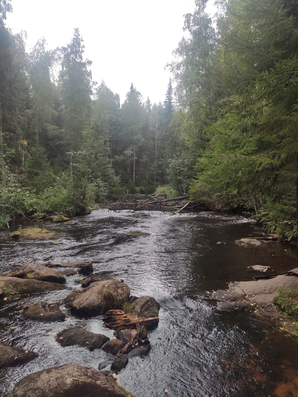 Фото Нордикхаус