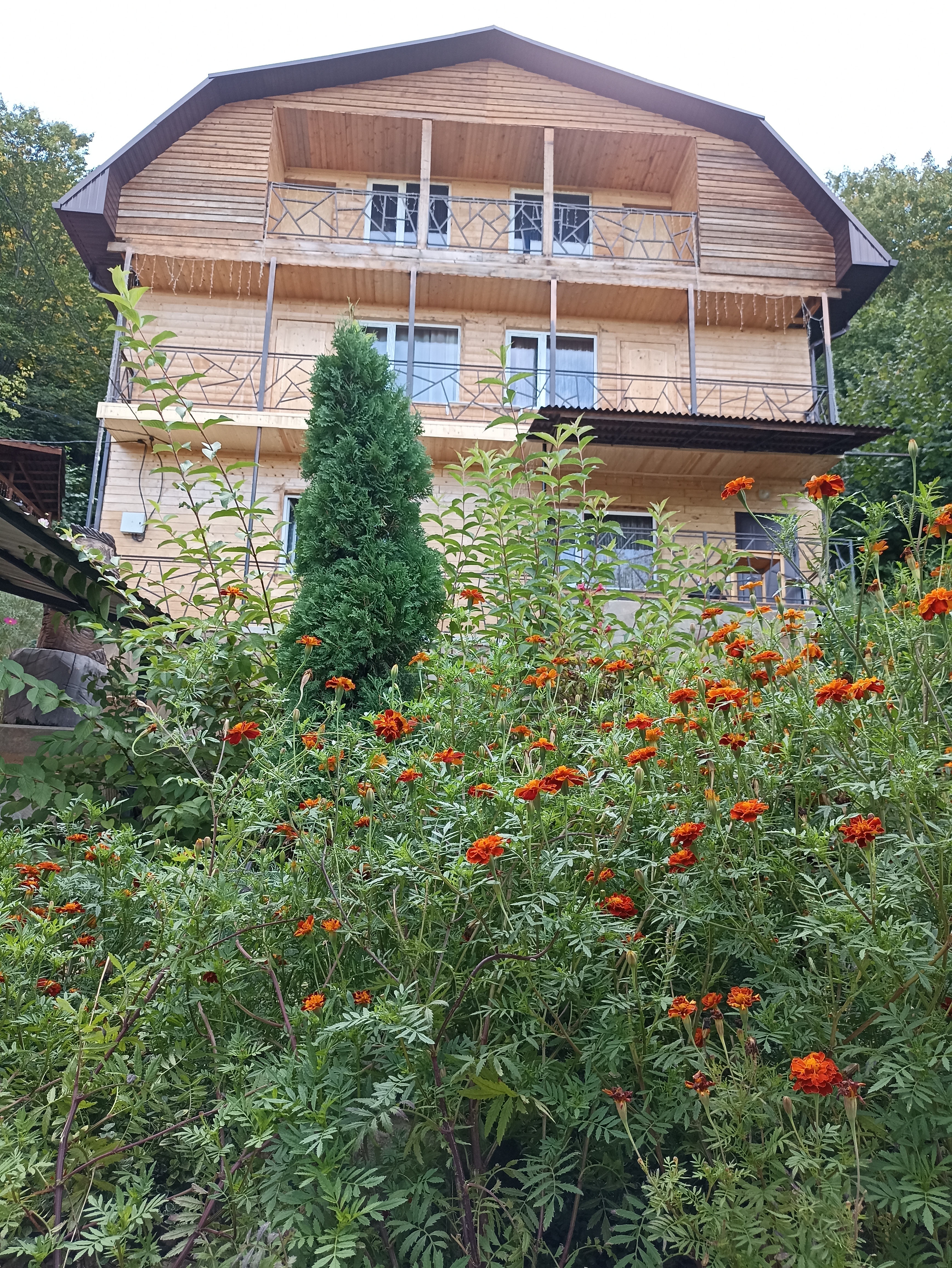 Фото Дом Совы