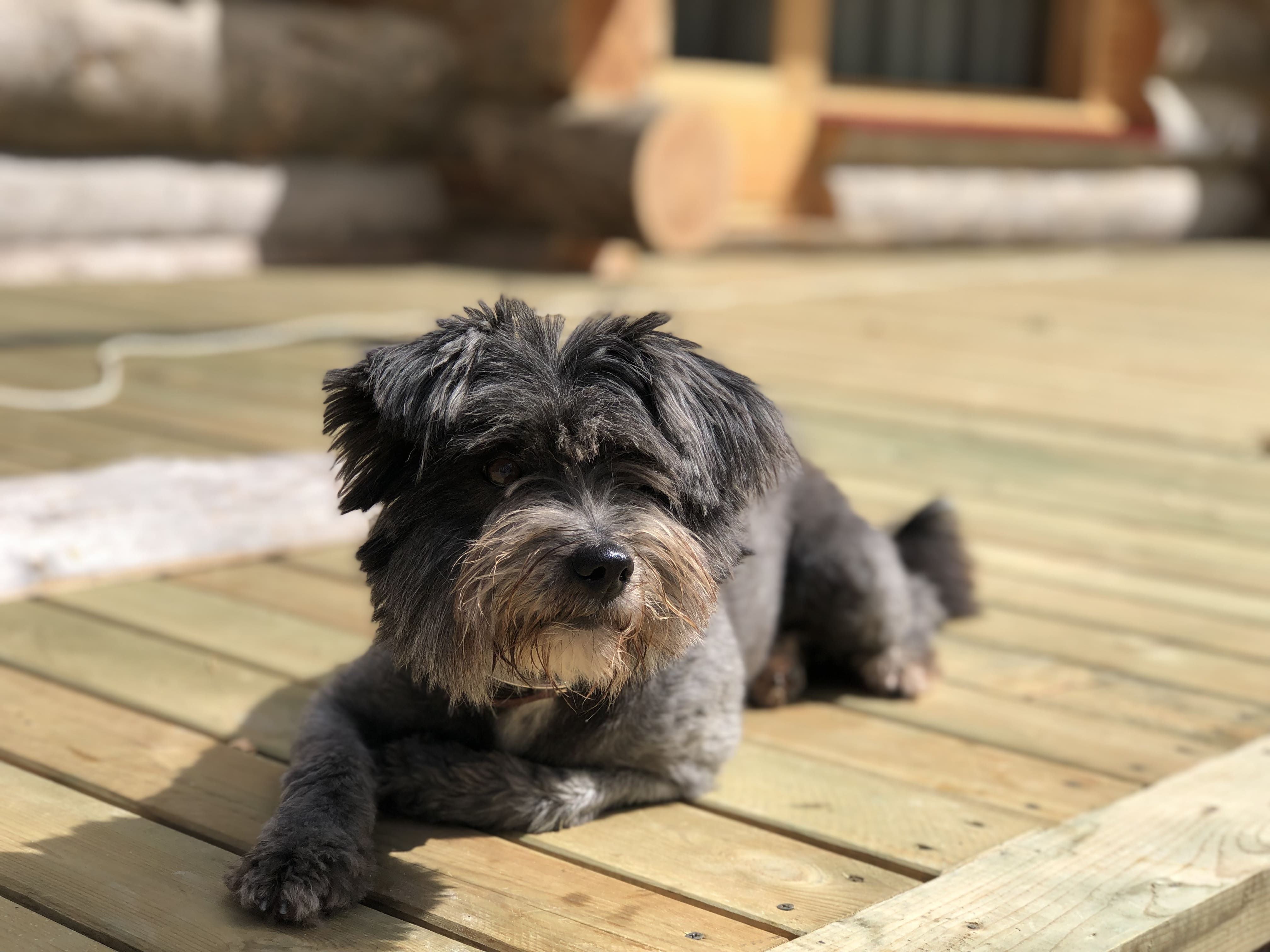 Фото Карелия Медвежка