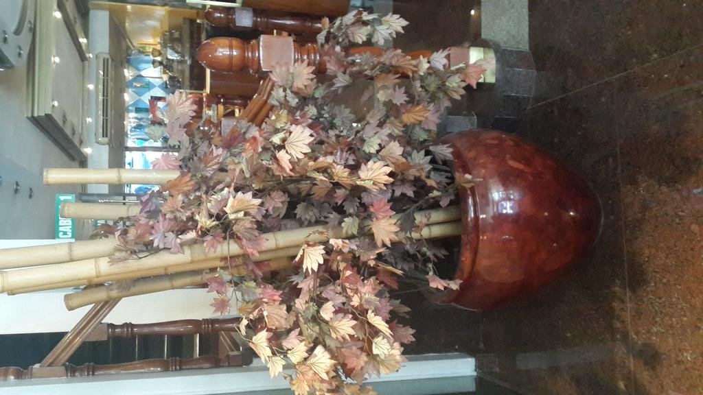 Фото Diplomat Hotel