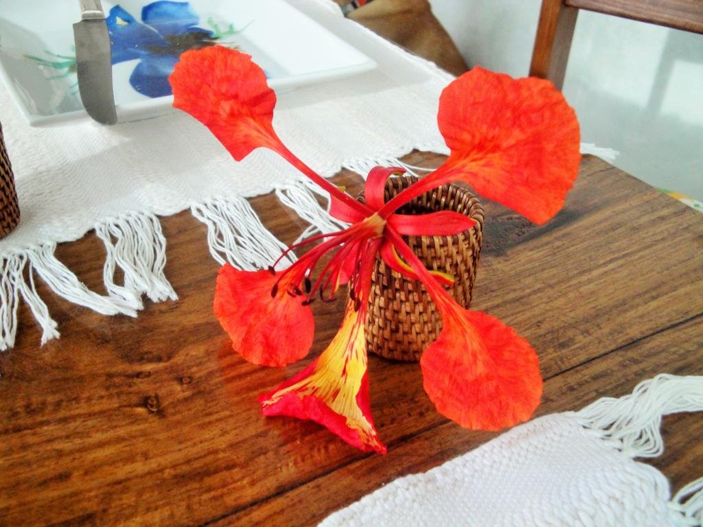 Фото Jardim dos Aloés - Unique B&b